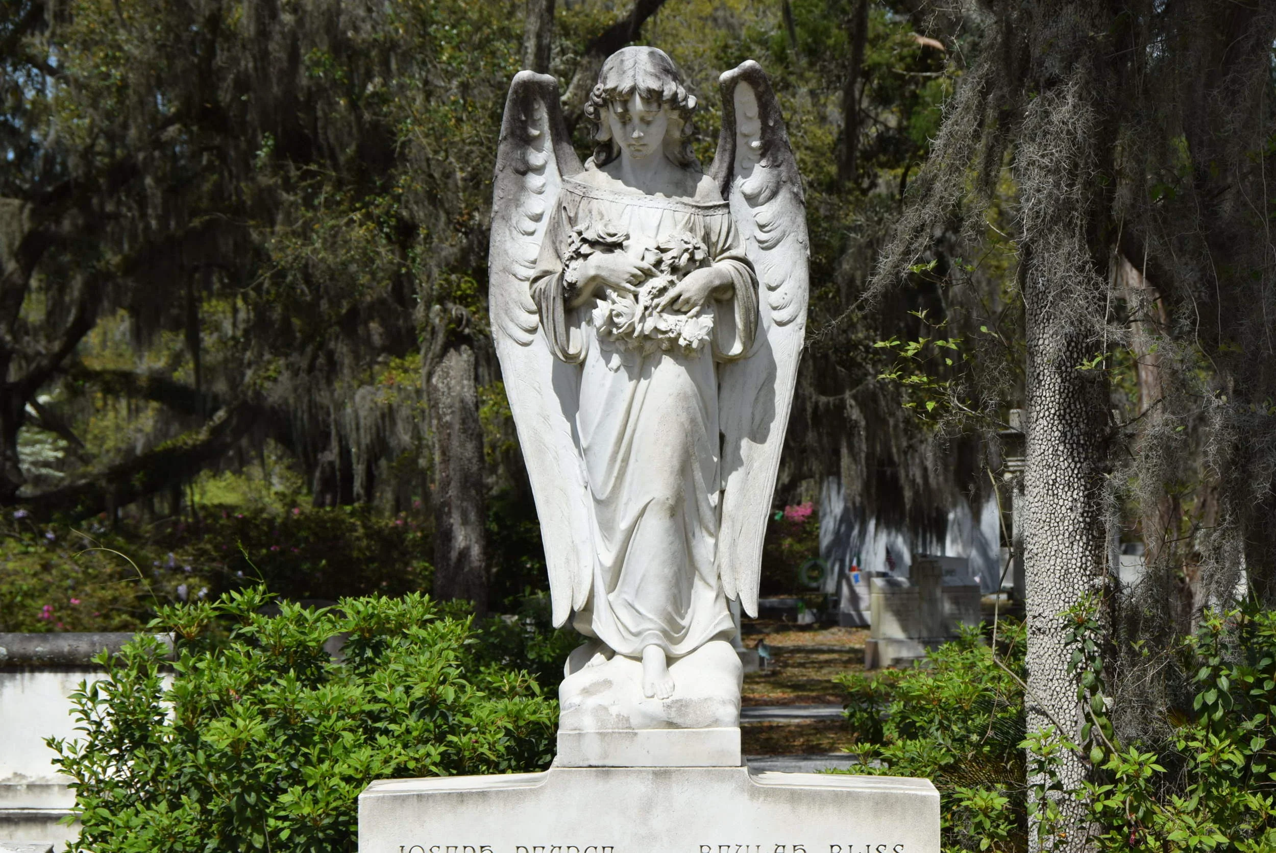 DSC_0406.JPG