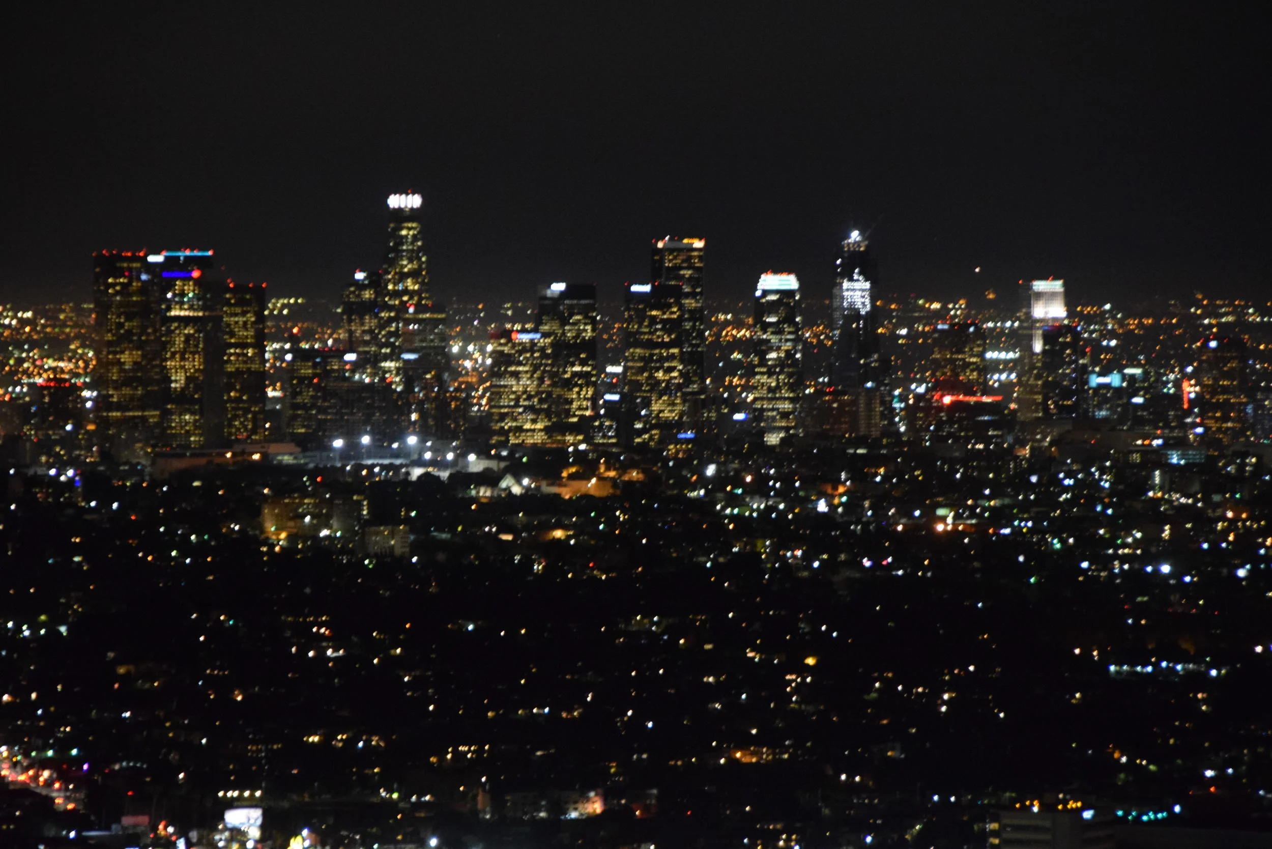 DSC_0195.JPG