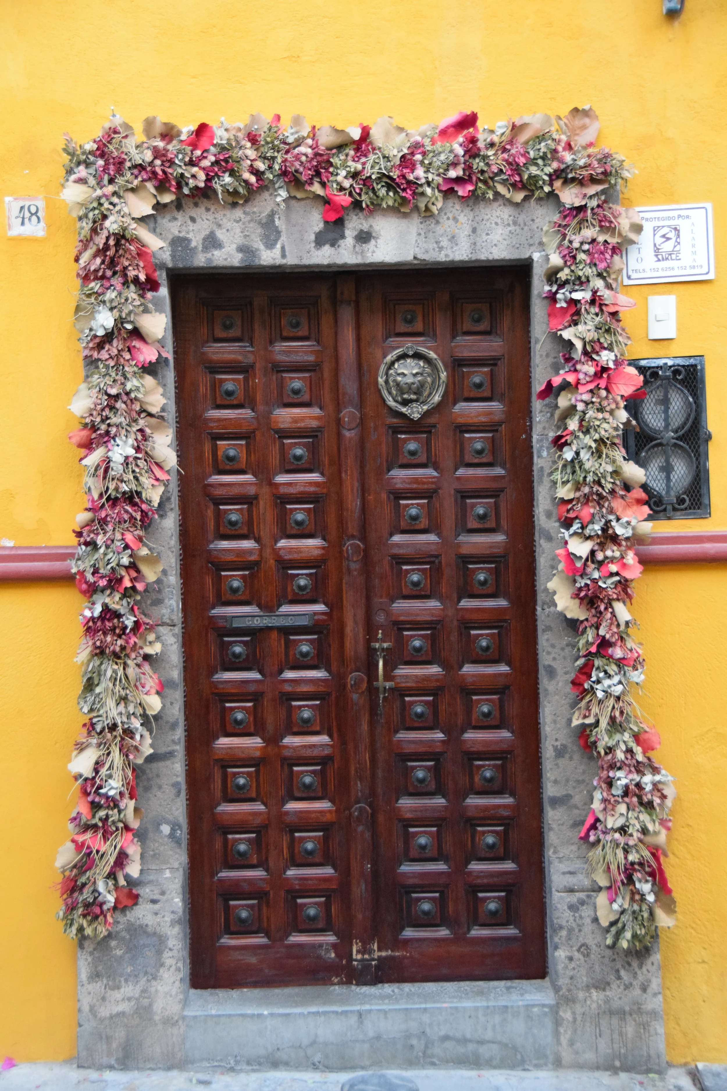 DSC_0369.JPG