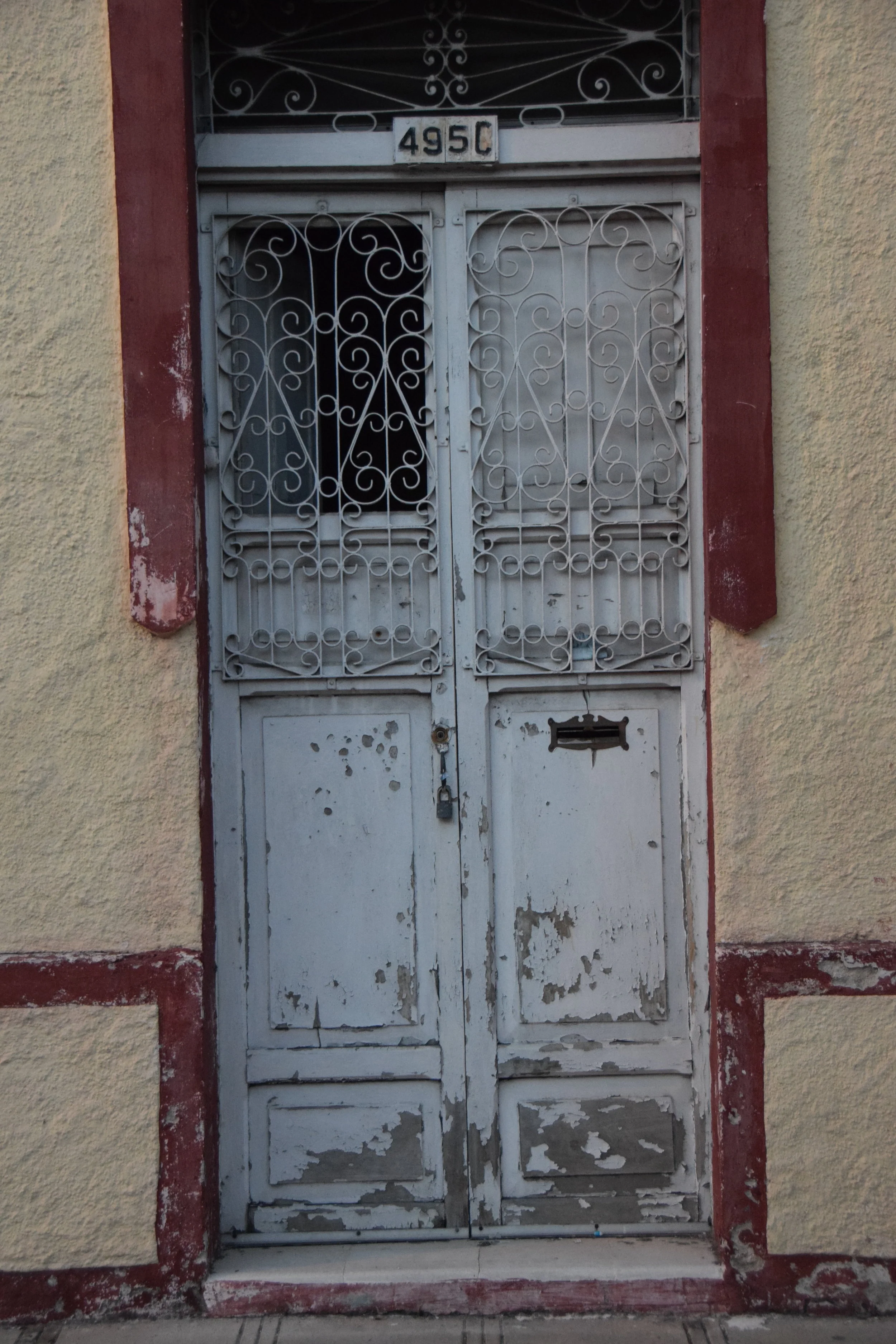 DSC_1331.JPG