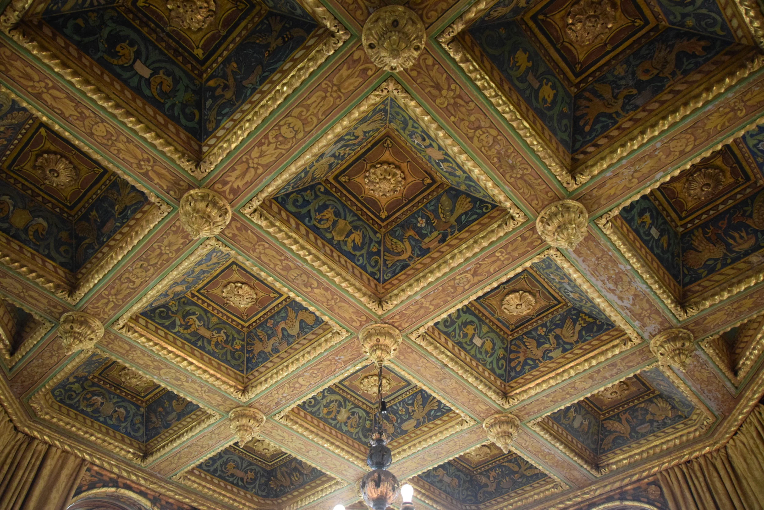 DSC_0867.JPG