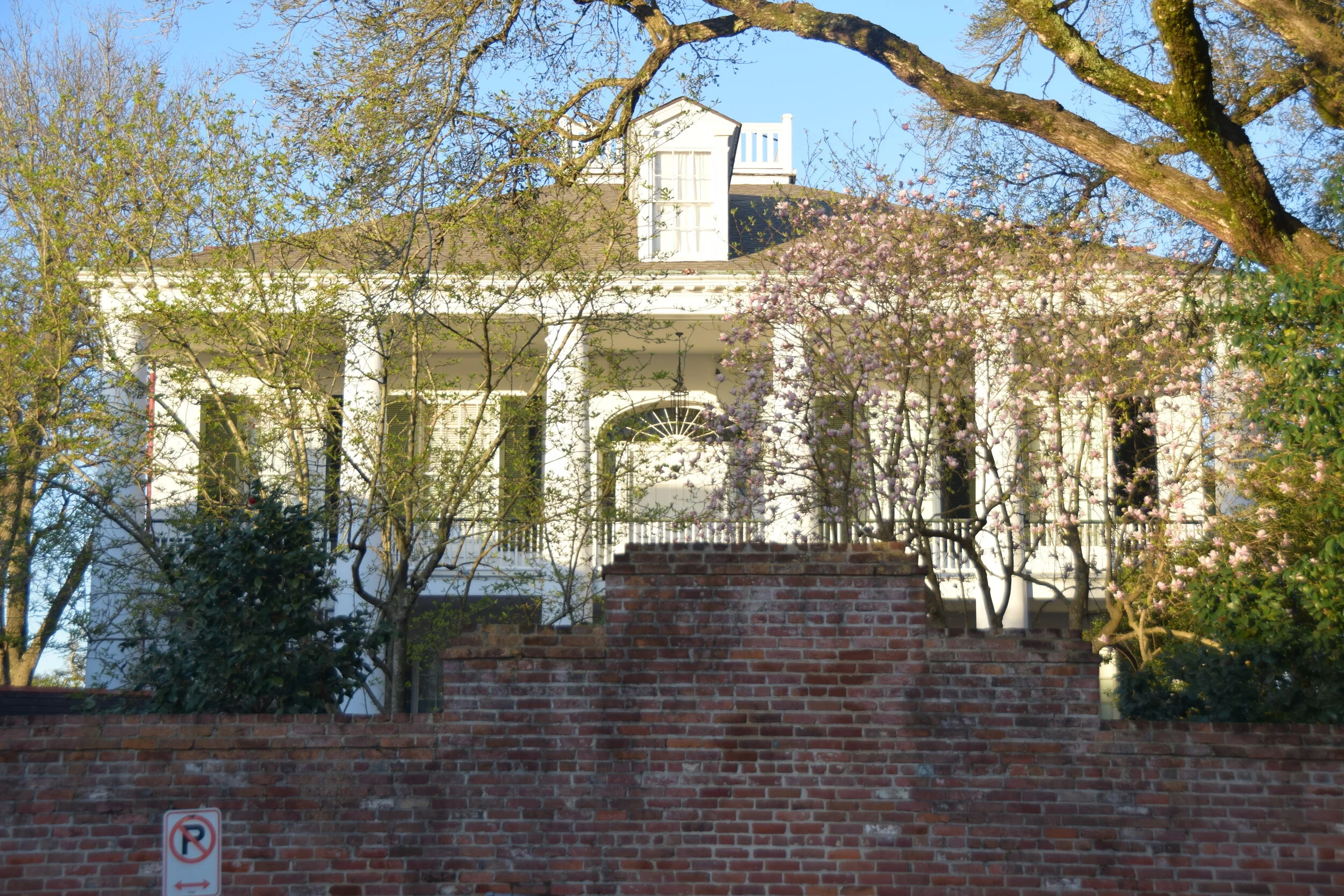 DSC_0878.JPG