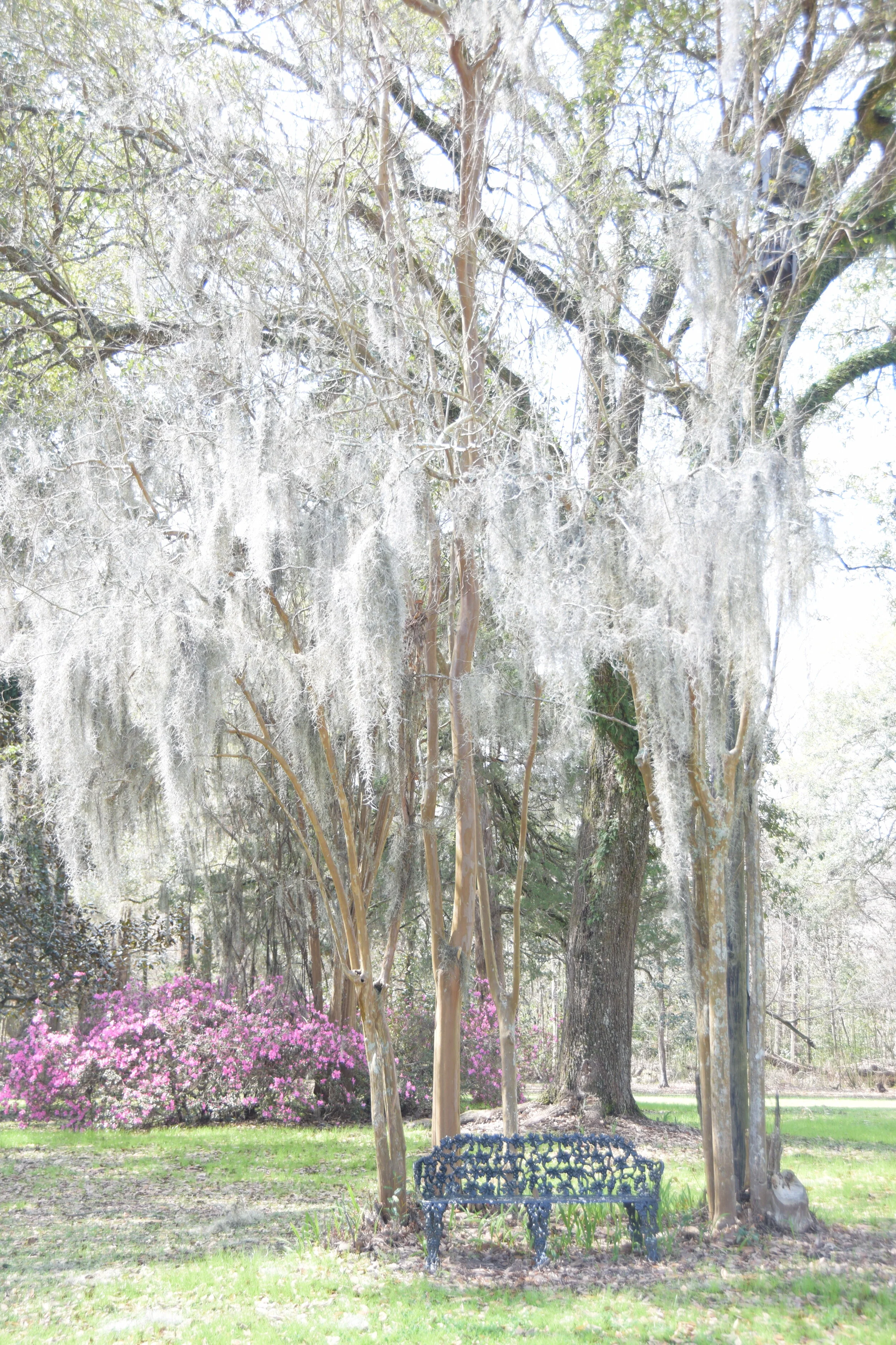DSC_0997.JPG