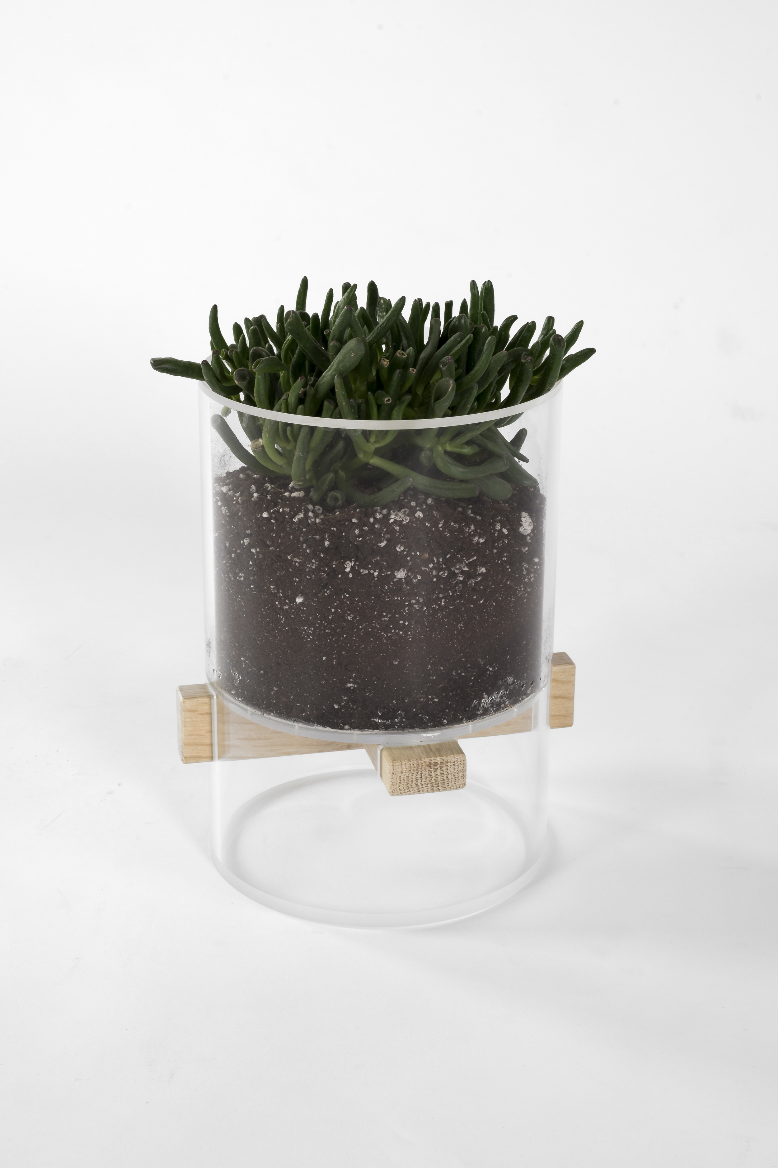 Extrusion Planter