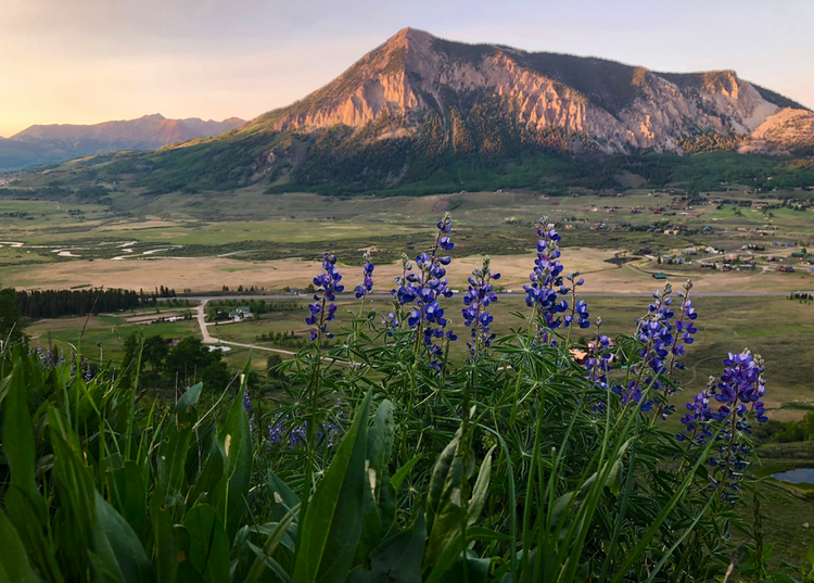 Distilling Rum How to Distill Rum Rum Distillation Process Revealed