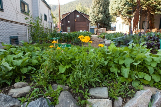 Mountain Roots Food Project's Elk Avenue Demonstration Garden