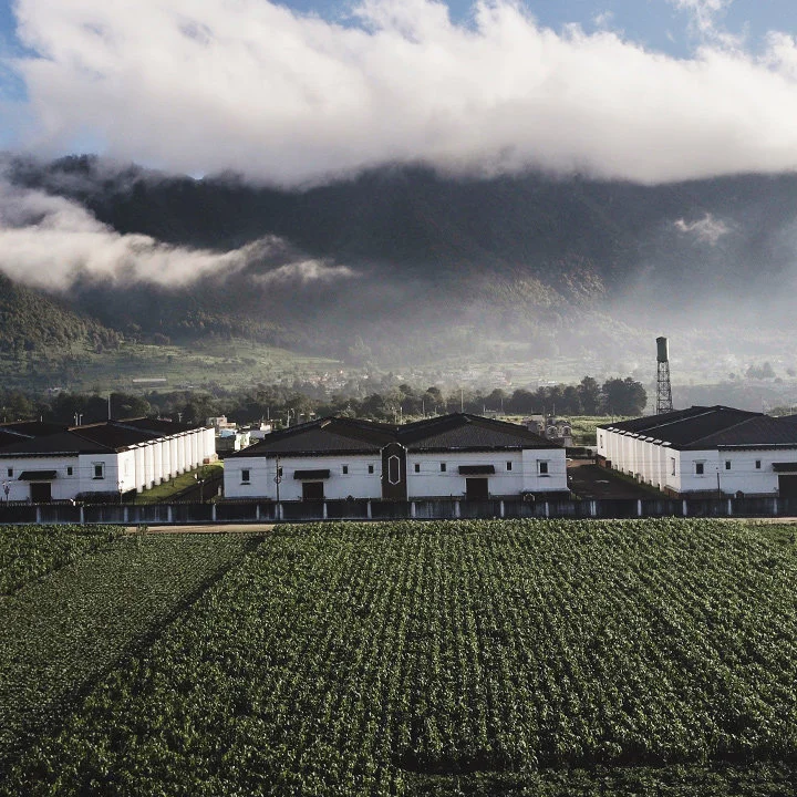 Ron Zacapa ages its rum in the “House Above the Clouds” in mountainous Quetzaltenango, Guatemala.