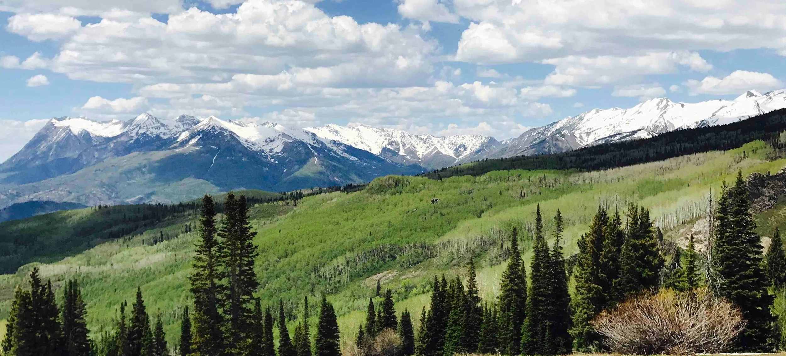The greening of the aspen is a sure marker of spring’s arrival in Crested Butte. And yes, it is a moment often still accompanied by snow on the peaks!