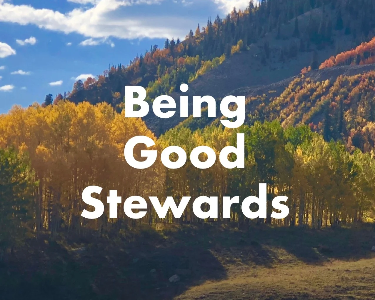 Montanya Distillers is a “Best for Colorado” company. Learn more.
