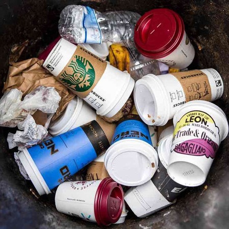 Even single-use coffee cups have plastic in their interior lining.