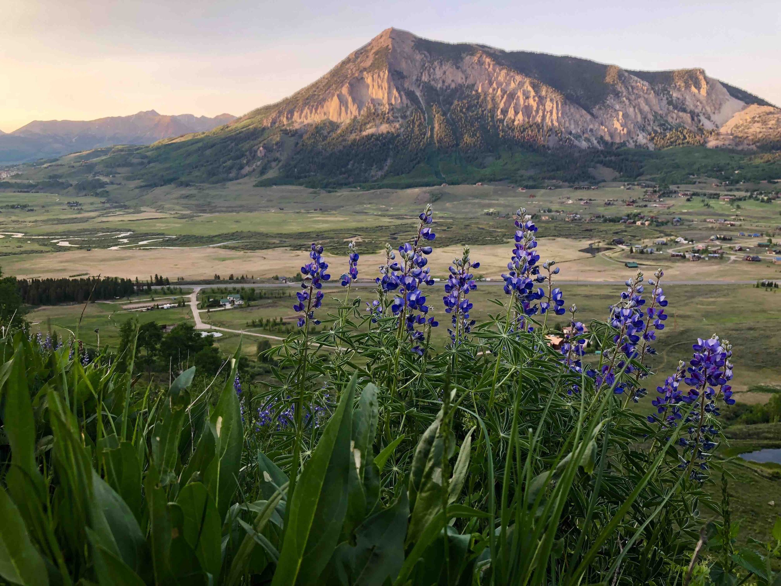 4 of the Biggest Rum Myths — Montanya Distillers