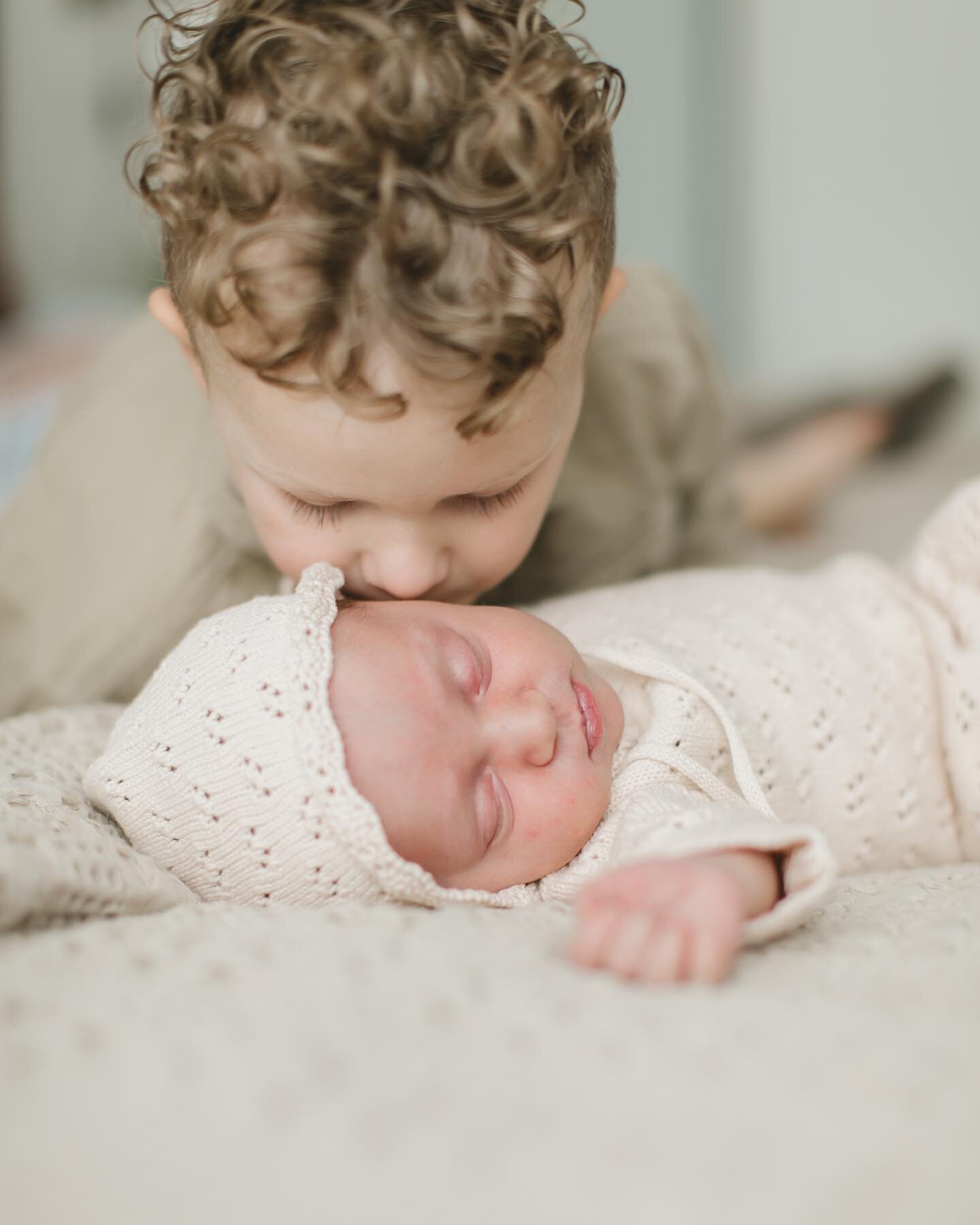 Newborn session with a toddler? Check out my latest reel from this session for my top tip for getting toddlers to cooperate! I adore this little family so much. And for the record, this toddler made my job SO easy. #utahnewbornphotographer #utahfamil