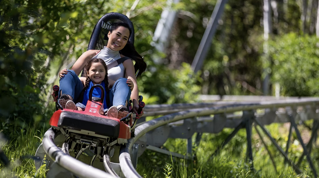 MOUNTAIN COASTER