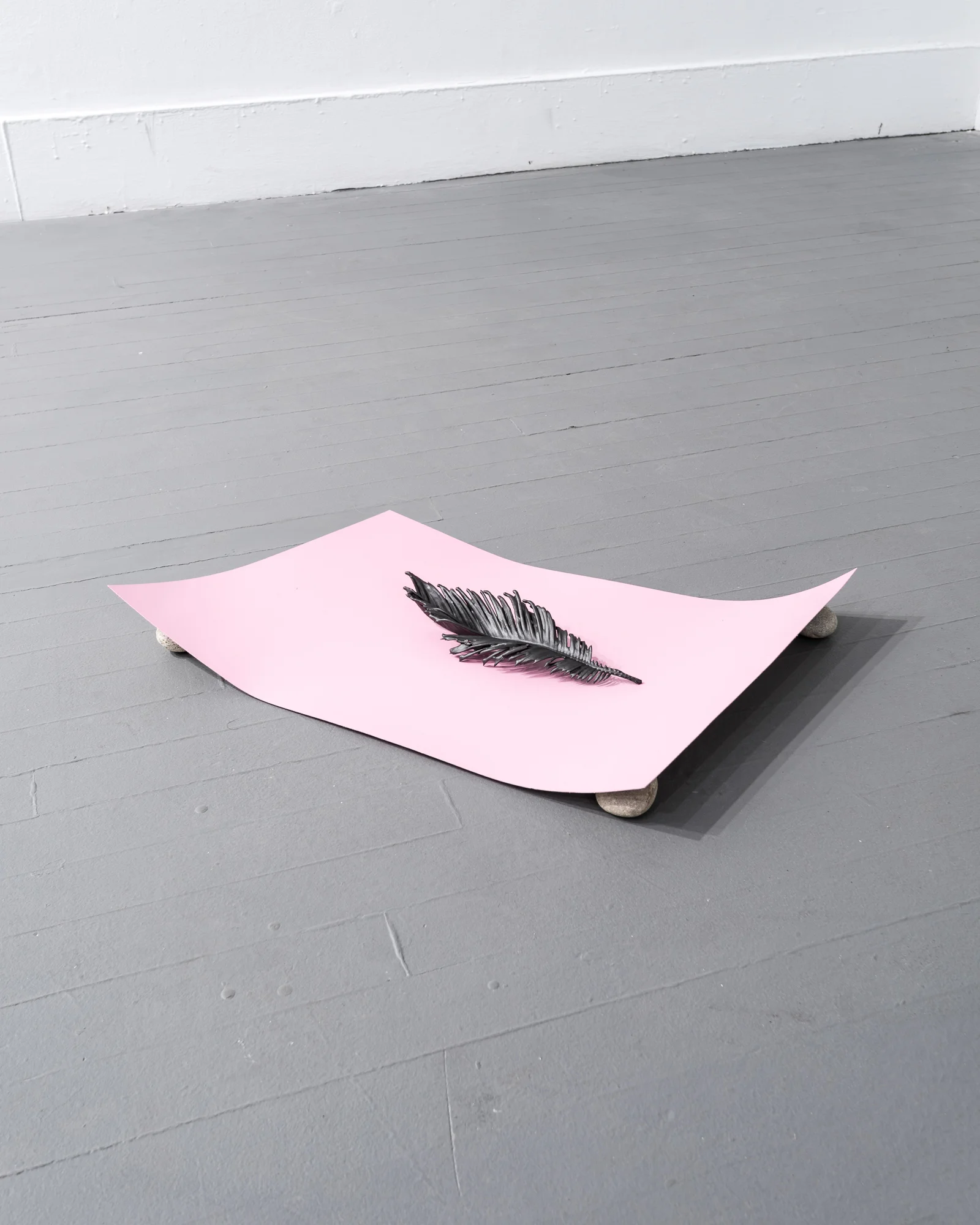 Light as a feather, stiff as a board, 23"x14"x2", acrylic paint on palm fern and paper, rocks, 2016. The State of a Small Sky , Zavitiz Gallery, 2016 Documentation by Peter Denton