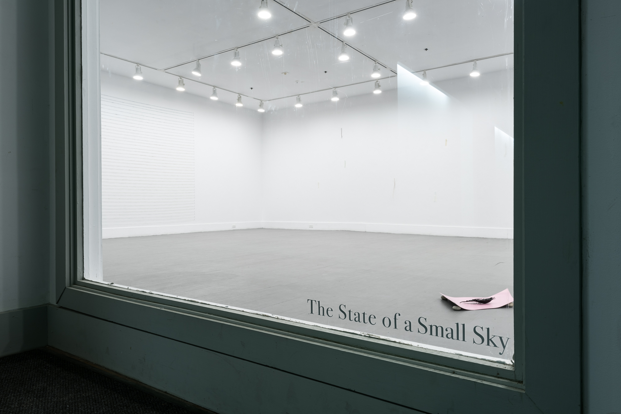   The State of a Small Sky , Zavitiz Gallery, 2016  Documentation by Peter Denton 