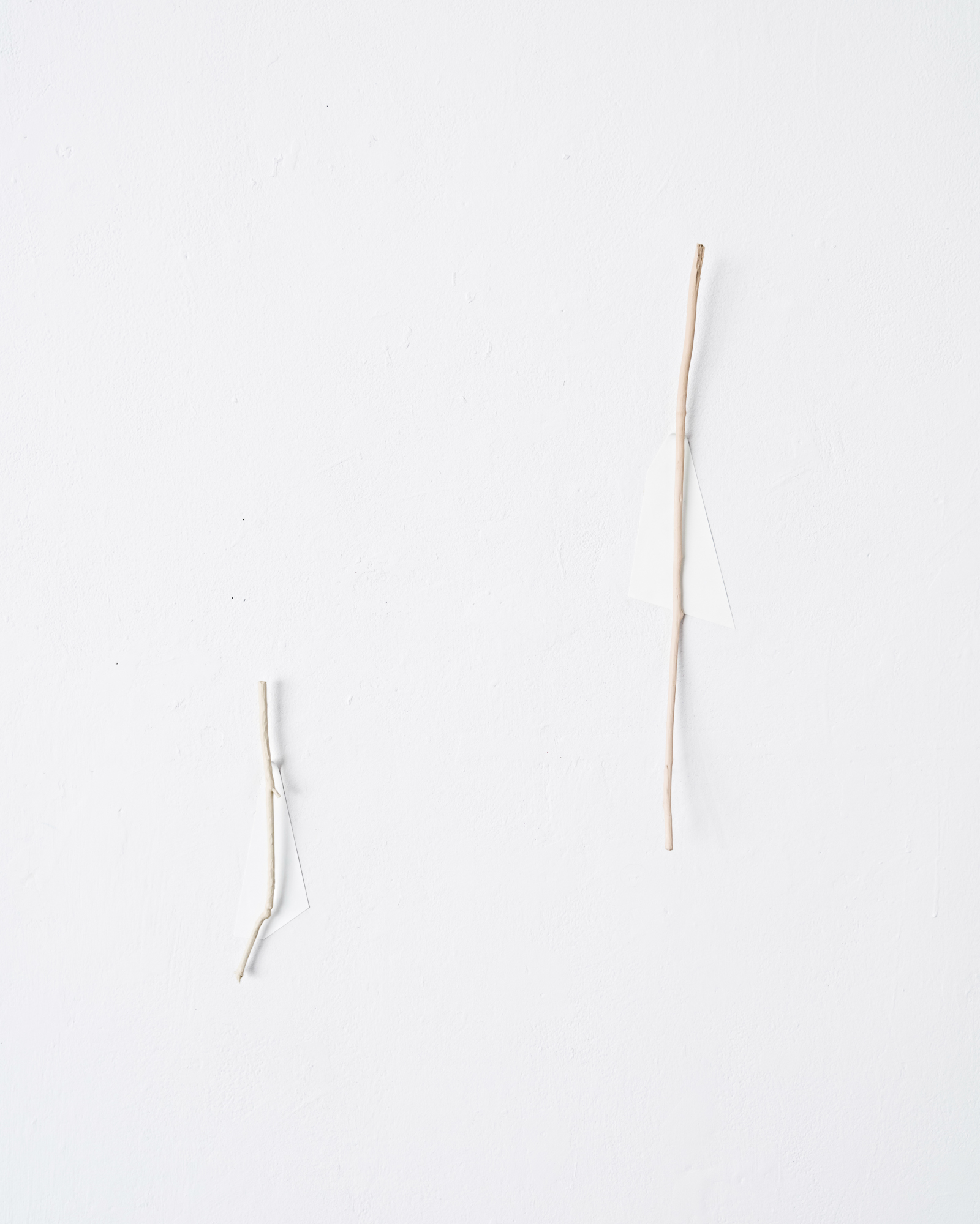   Limb Drop,&nbsp; dimensions vary,&nbsp;acrylic paint on found twigs, acrylic paint on paper, 2016. Detail   The State of a Small Sky , Zavitiz Gallery, 2016  Documentation by Peter Denton 