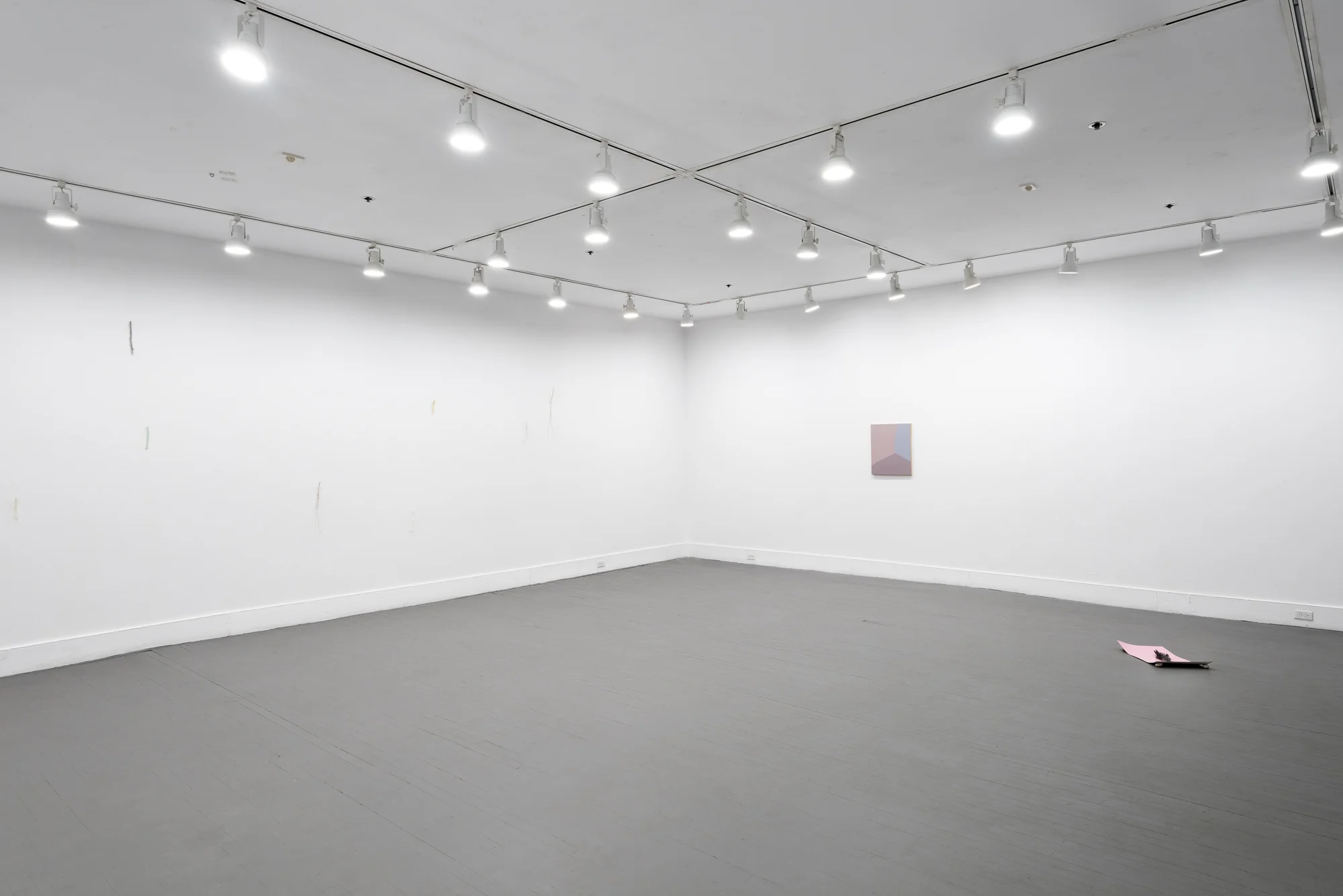 The State of a Small Sky , Zavitiz Gallery, 2016 Documentation by Peter Denton