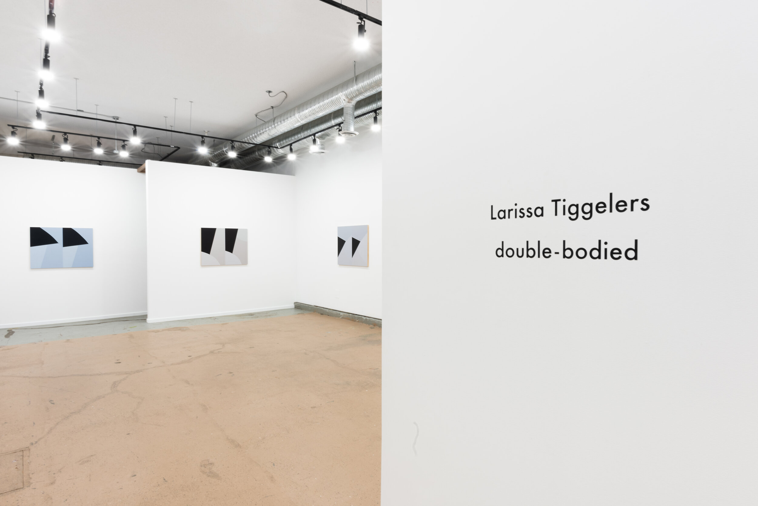   double-bodied , exhibition view, Jarvis Hall Gallery, photo by LFdocumentation  