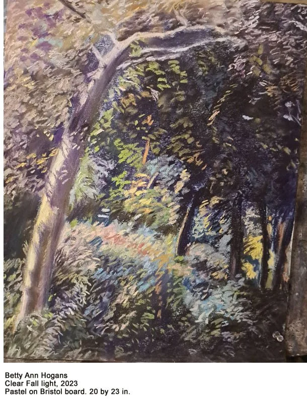 BETTY-ANN HOGAN — New York Society of Women Artists