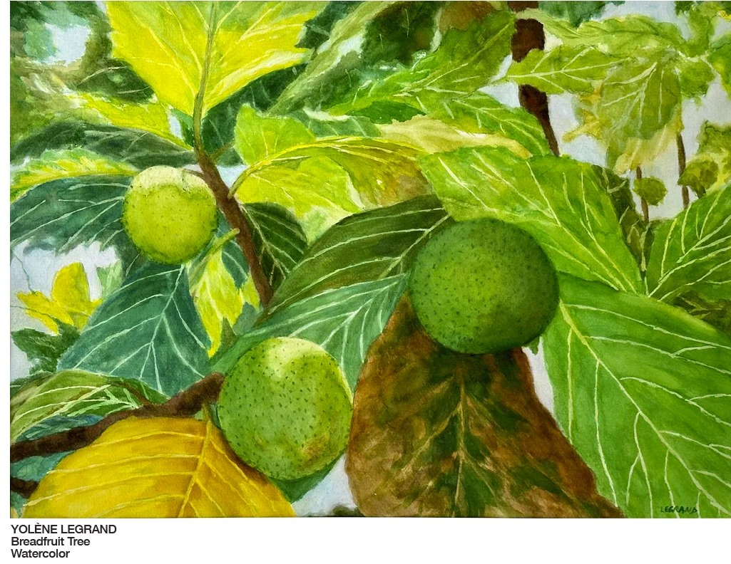 Breadfruit.jpg