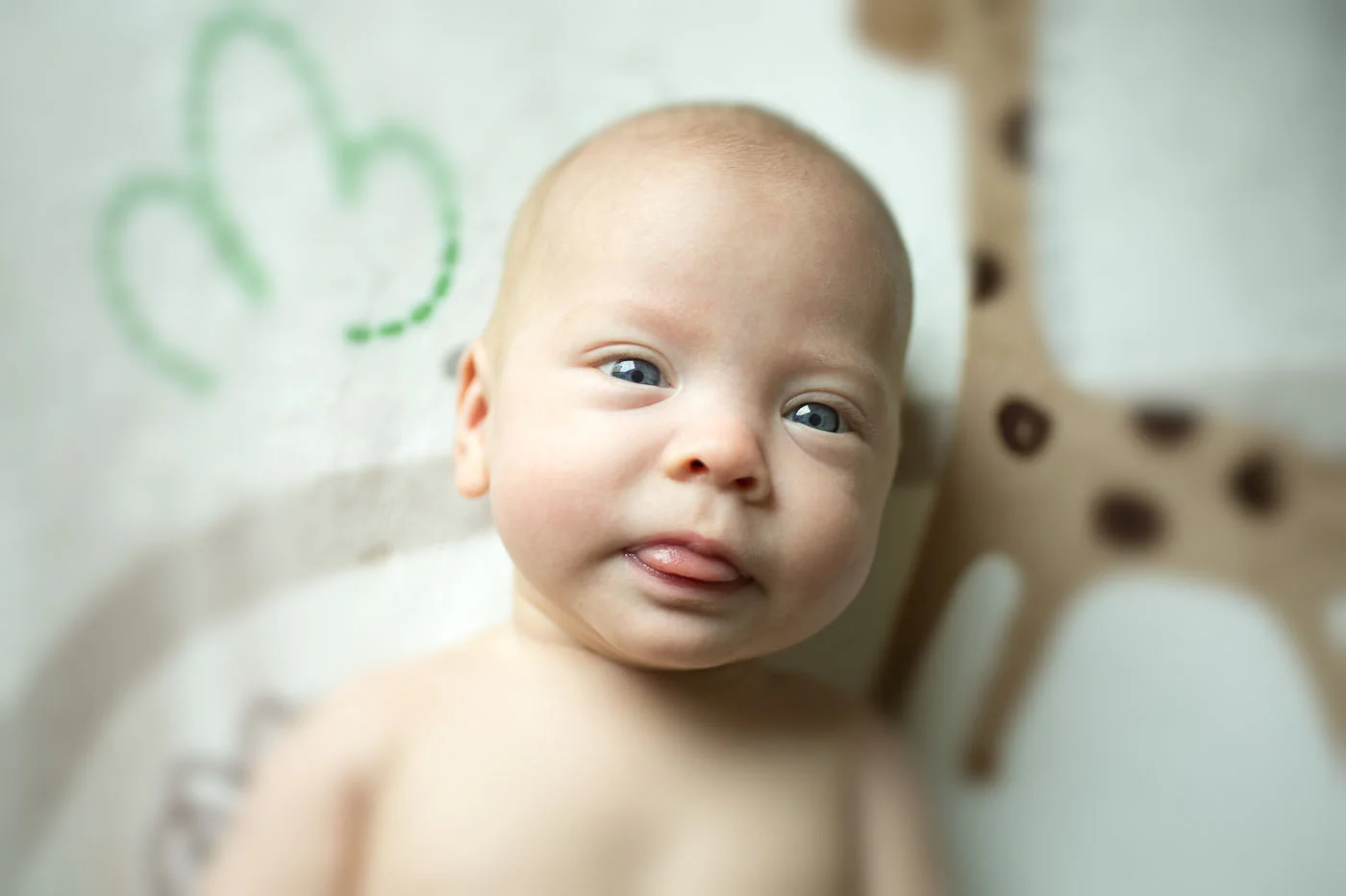 Tiny-forest-china-basin-newborn-twint-photograper-San-Francisco-2.jpg