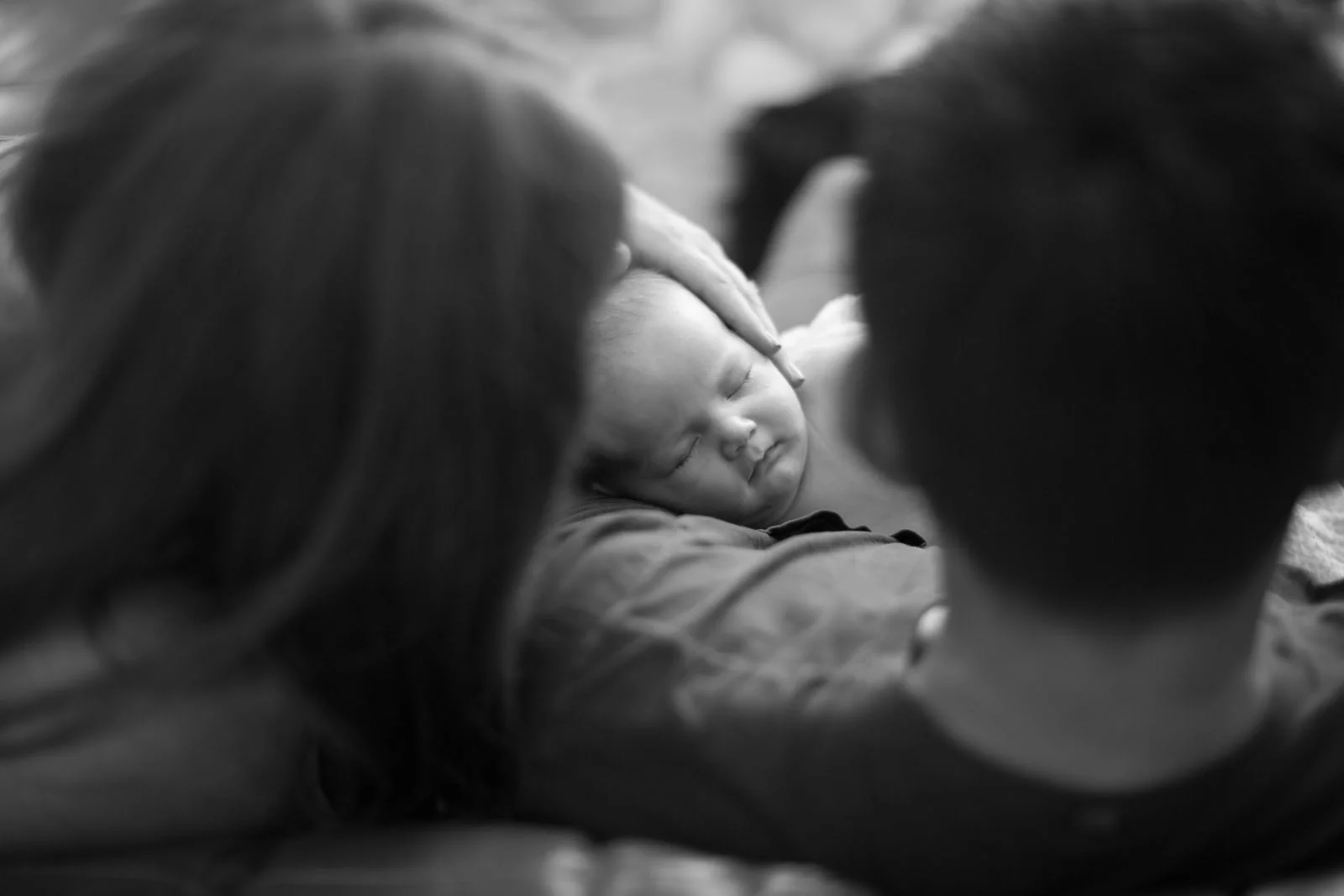 WALNUT+CREEK+FAMILY+PHOTOGRAPHER.jpg