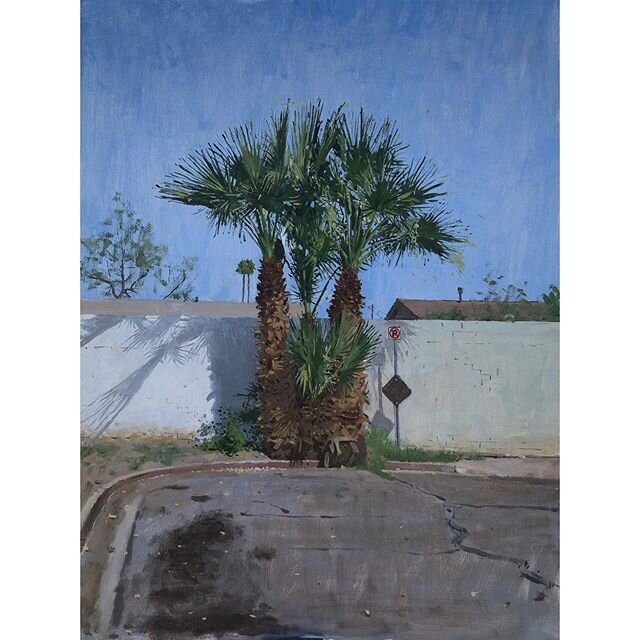 &ldquo;Quarantine Palms.&rdquo; Oil on Linen Glued To Aluminum. 12*16 inches. A painting on my street. Making smaller painting to keep all of ye happy with pretty picturesssss! So do me a favor and keep making work for me to see, ok? It makes me happ
