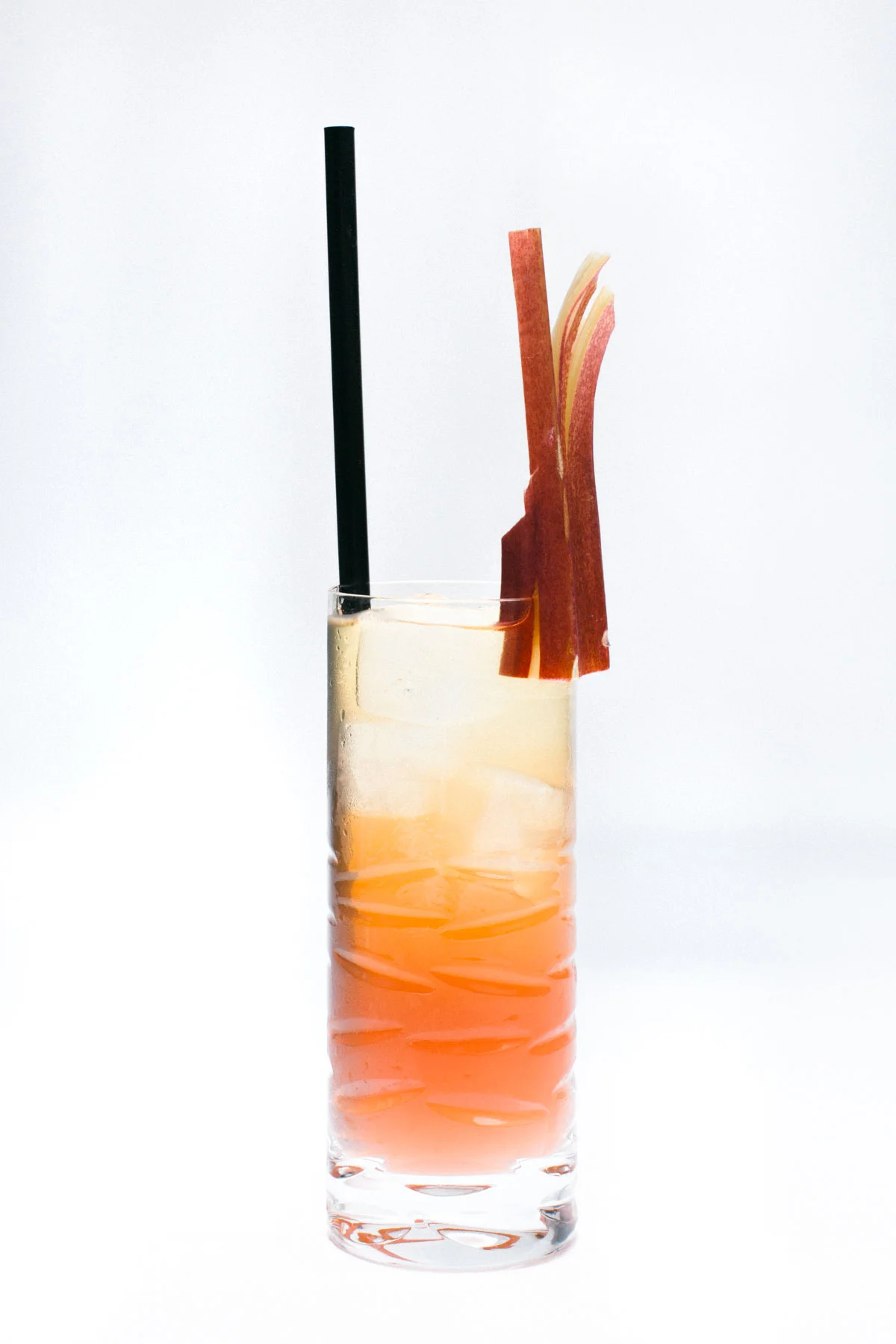 COCKTAILS_2017-2.jpg