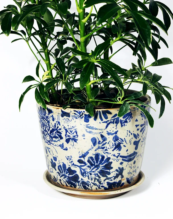 DUKAT_PLANTER_03S2.jpg