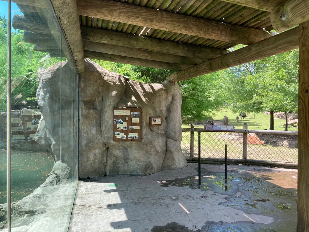 Africa Exhibit — Gregory Gates Architect