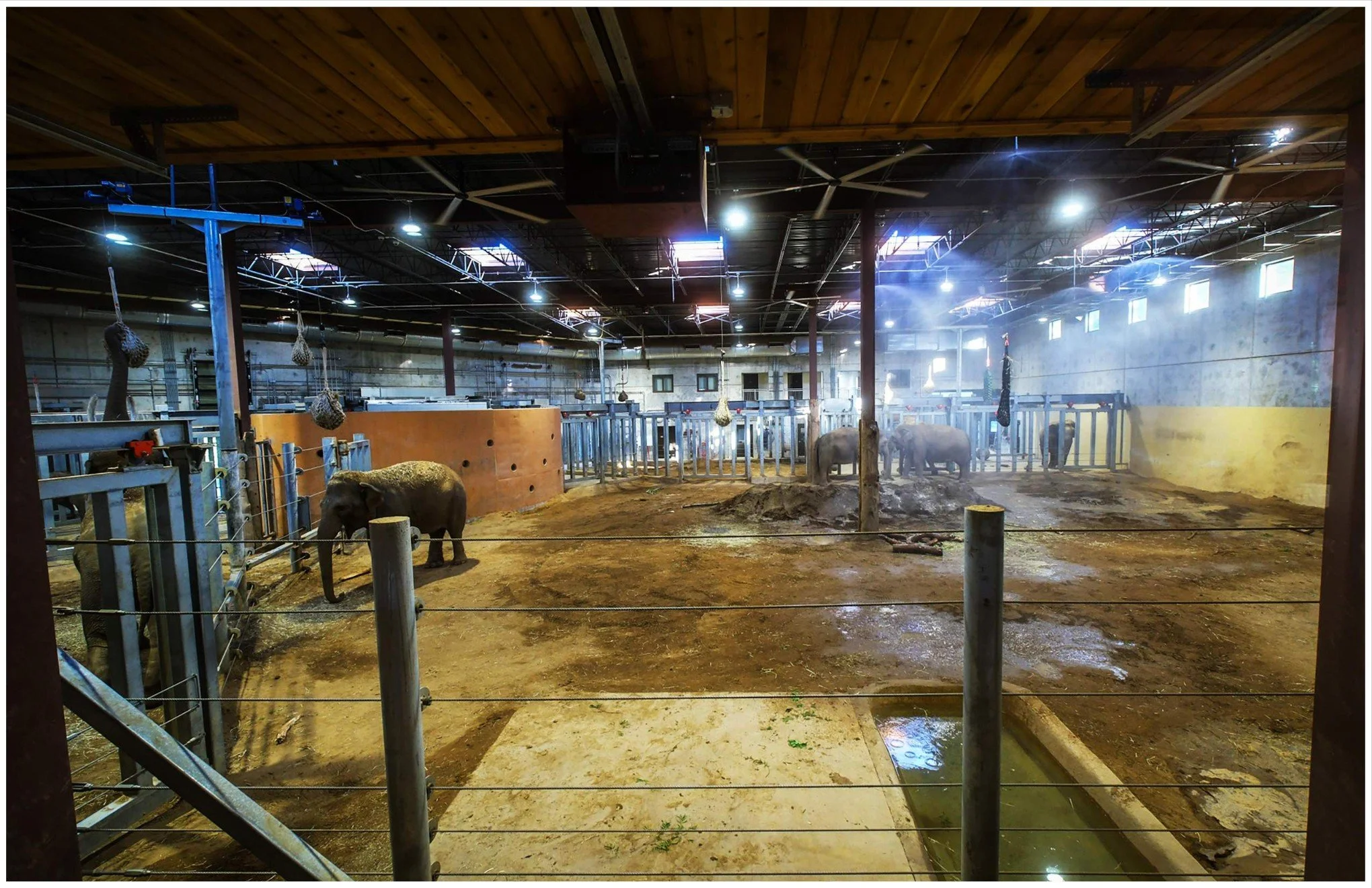 006 CZBG Elephant-Barn Interior Photo.jpg