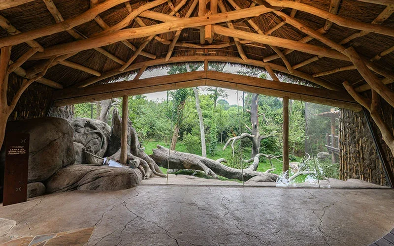 Leopard Forest

 

 Nashville Zoo at Grassmere |  Nashville, TN 