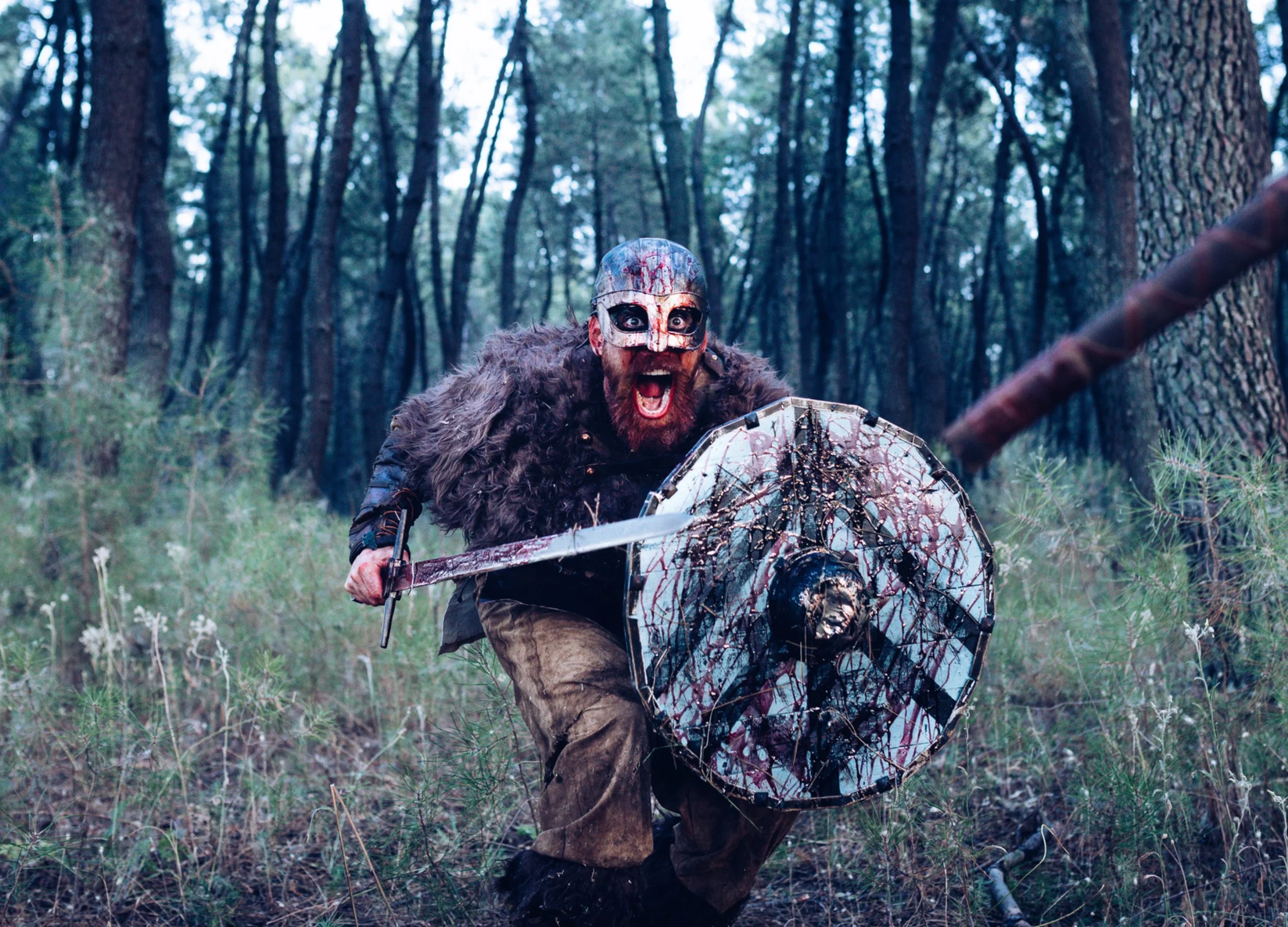 Forest-Viking-in-Close-Combat-with-Sword-and-Shield.jpg