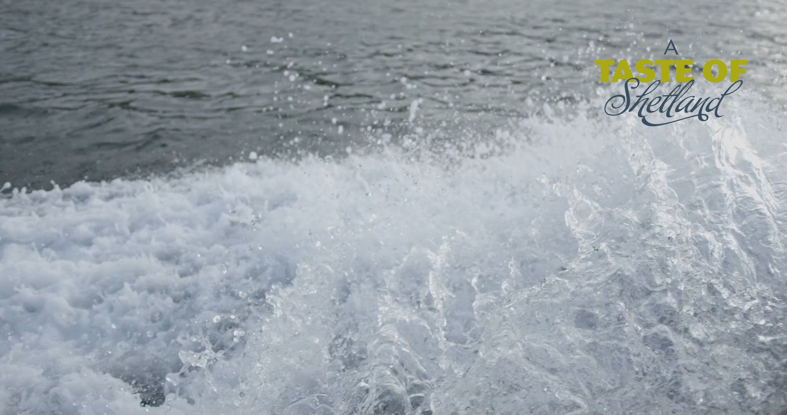 Taste of Shetland // Wild Mackerel Fishing