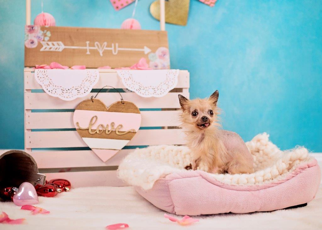 Photo credit: Kinder Art Photography