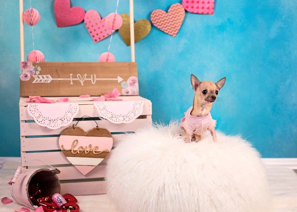Photo Credit: Kinder Art Photography