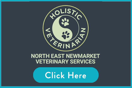 Holistic Vet Newmarket