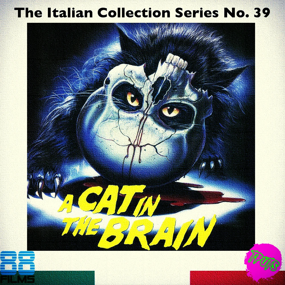 88 FILMS ITALIAN COLLECTION SERIES - DISC 39 - A CAT IN THE BRAIN