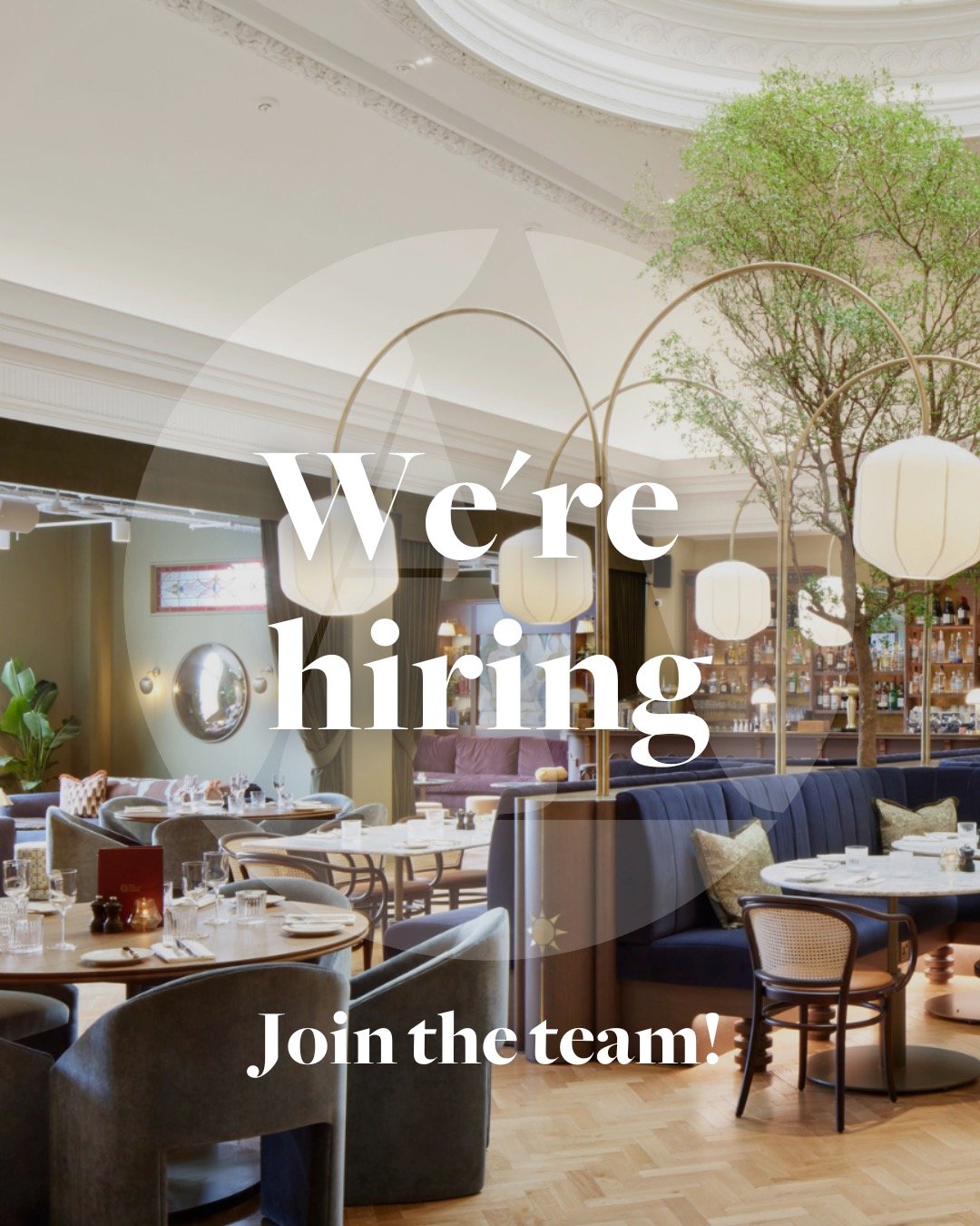 We&rsquo;re Hiring!

Due to some recent new business wins we&rsquo;re looking for brilliant Freelance Senior Account Executives to join the team.
 
If you live and breathe:
🔥 Influencer relations
🔥 Scroll-stopping social content
🔥 Smart, standout 