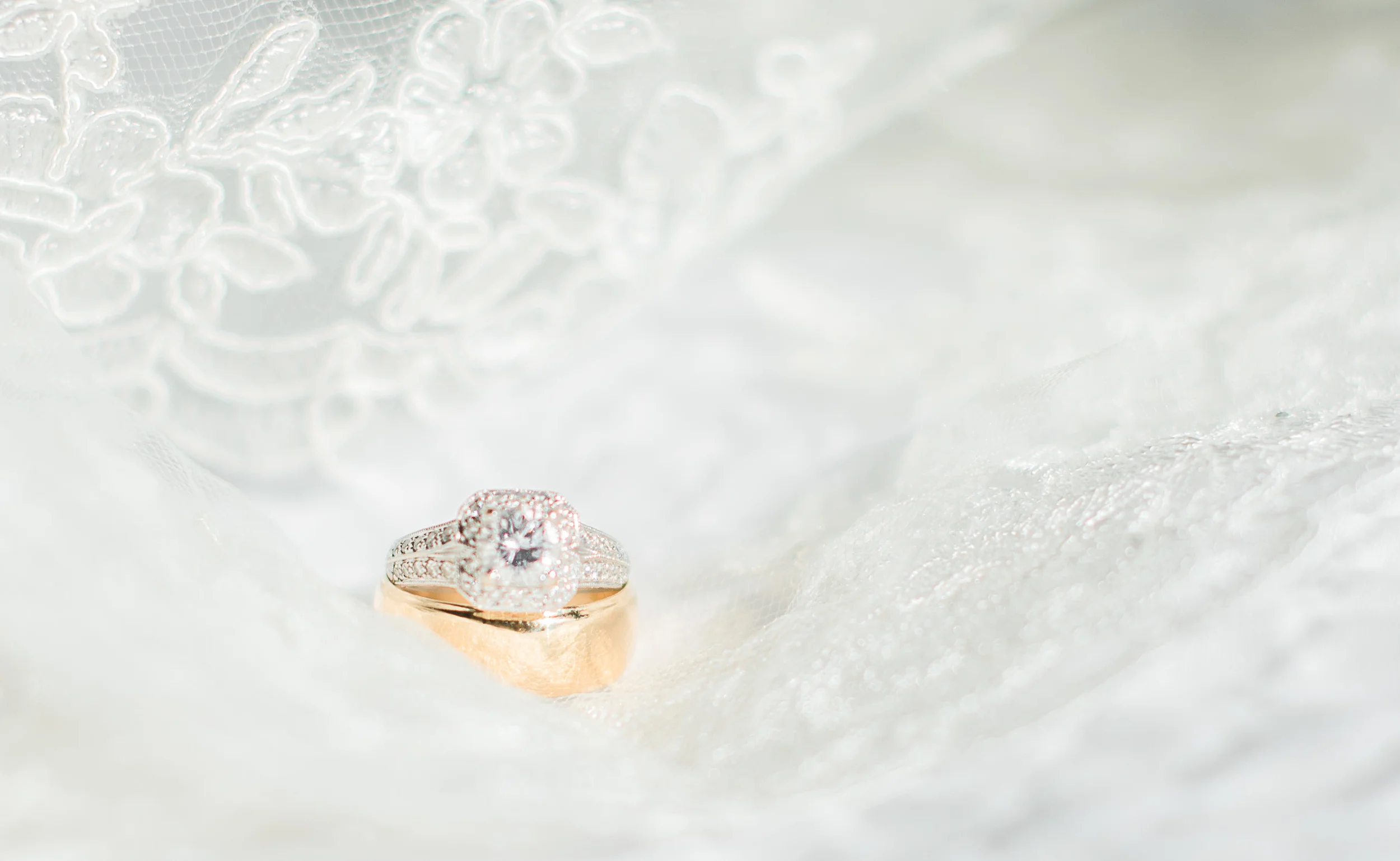 ElinaRosePhotography-40.jpg