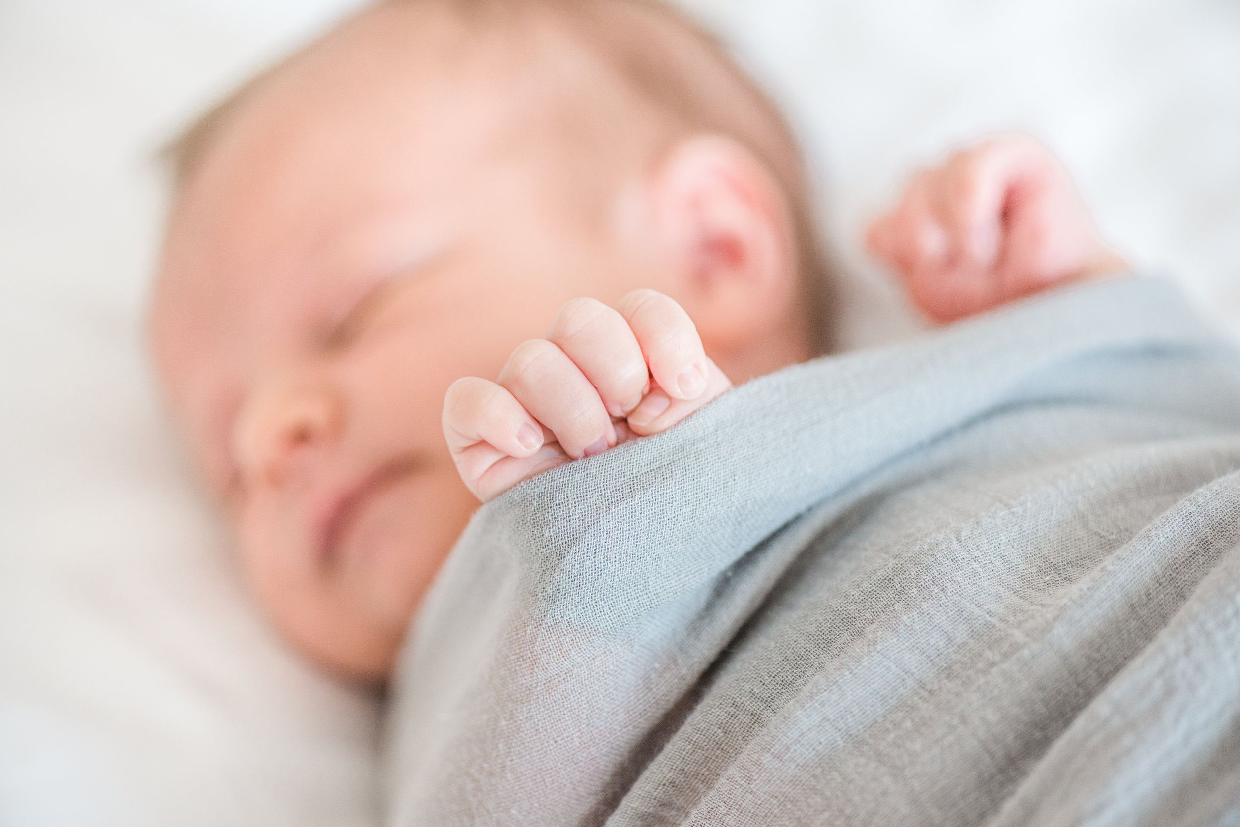ElinaRosePhotography-116.jpg