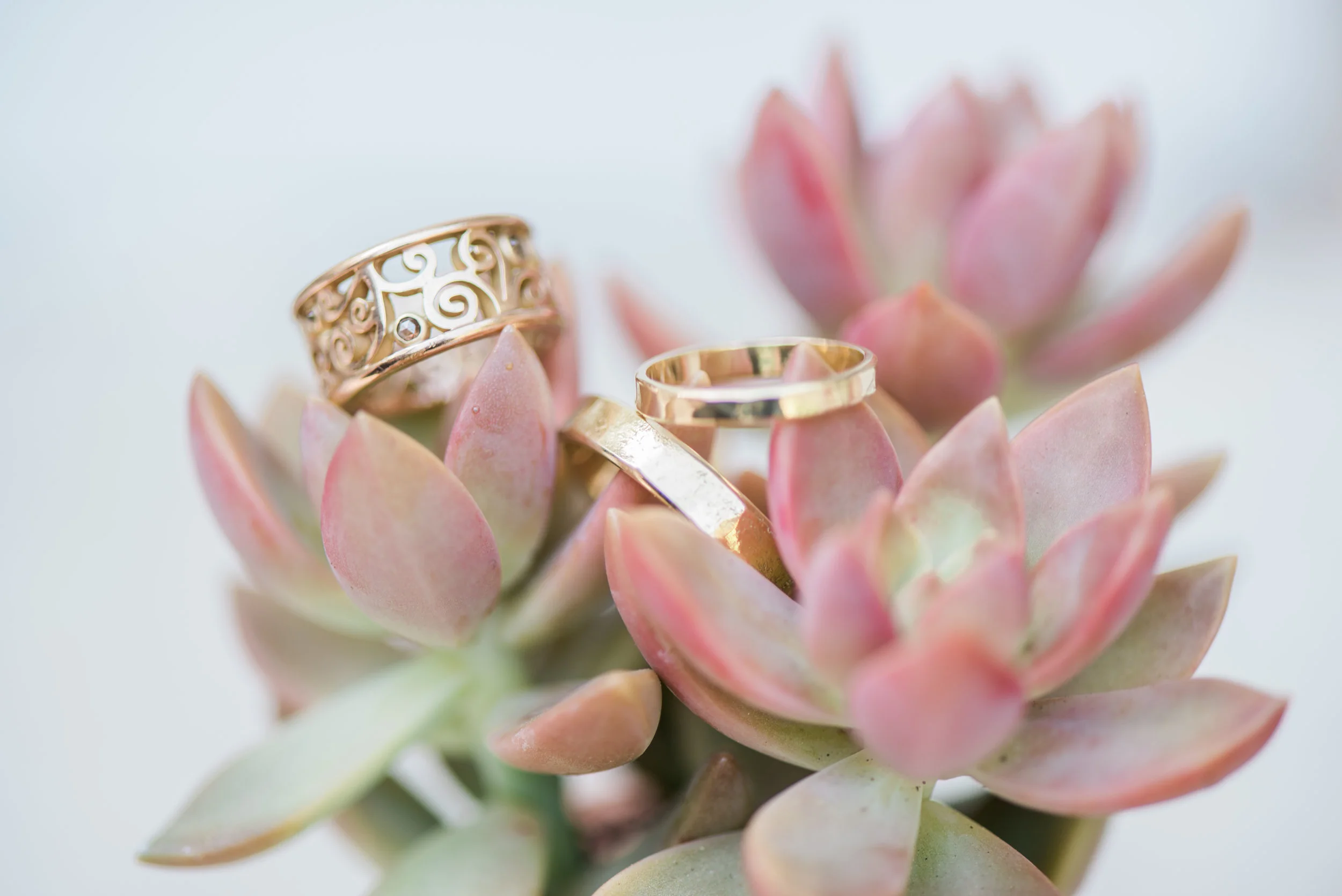 ElinaRosePhotography-550.jpg