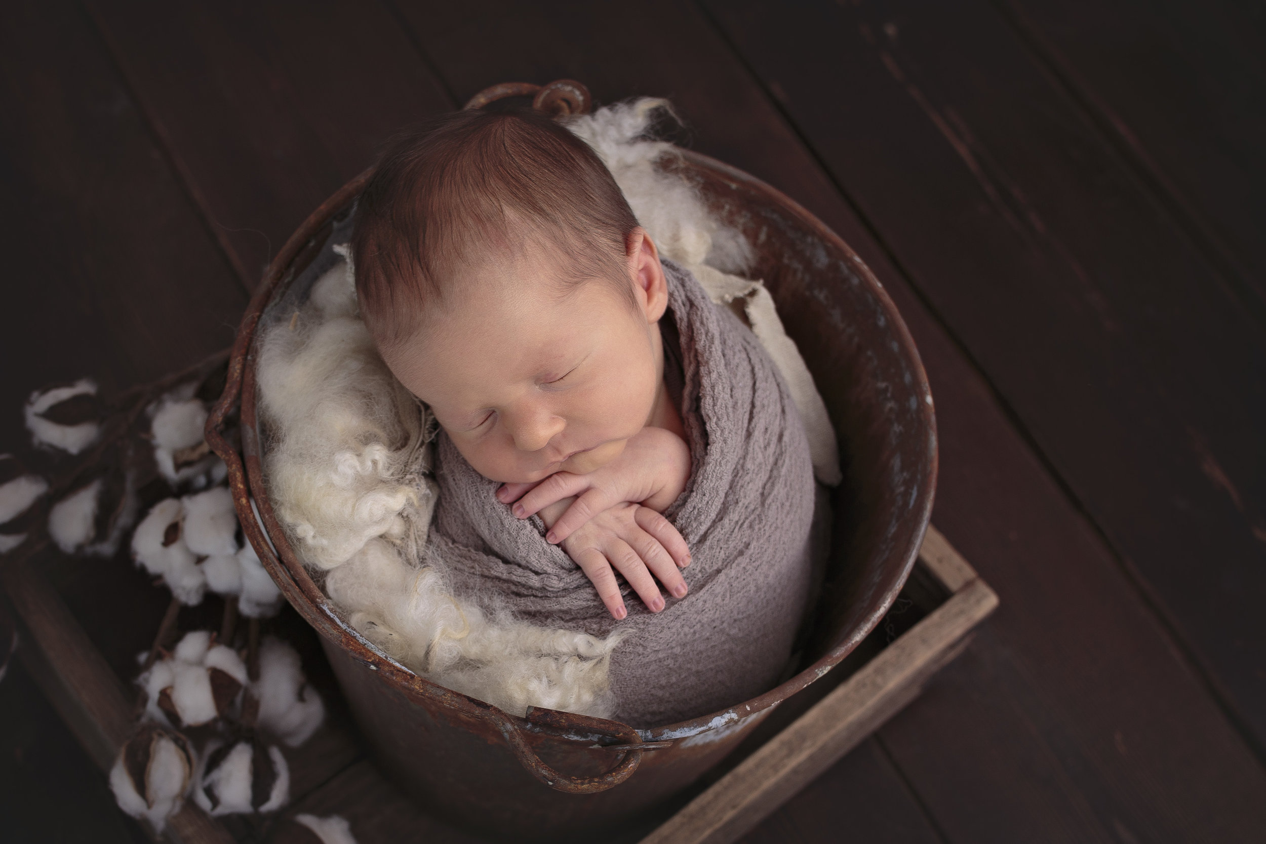 Snohomish County newborn photographer (8).jpg