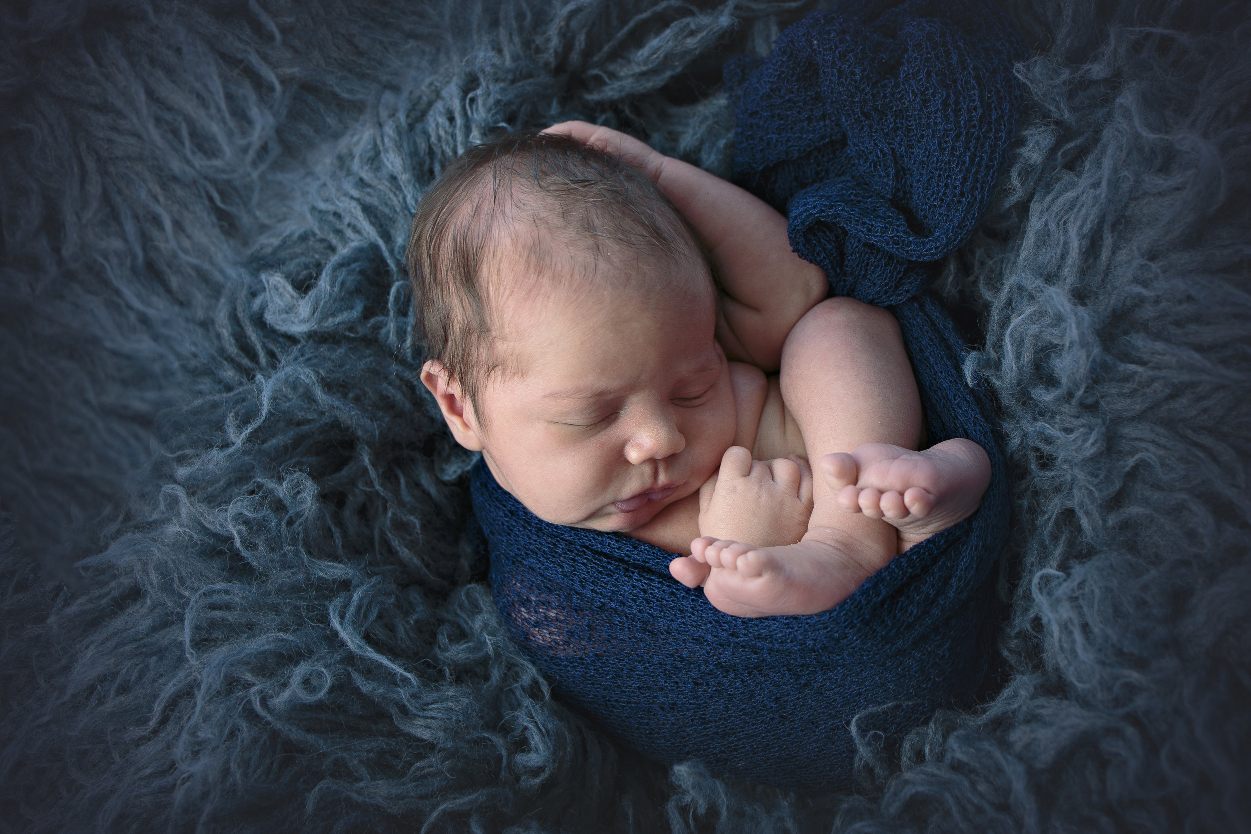 seattle newborn photographer (3).jpg