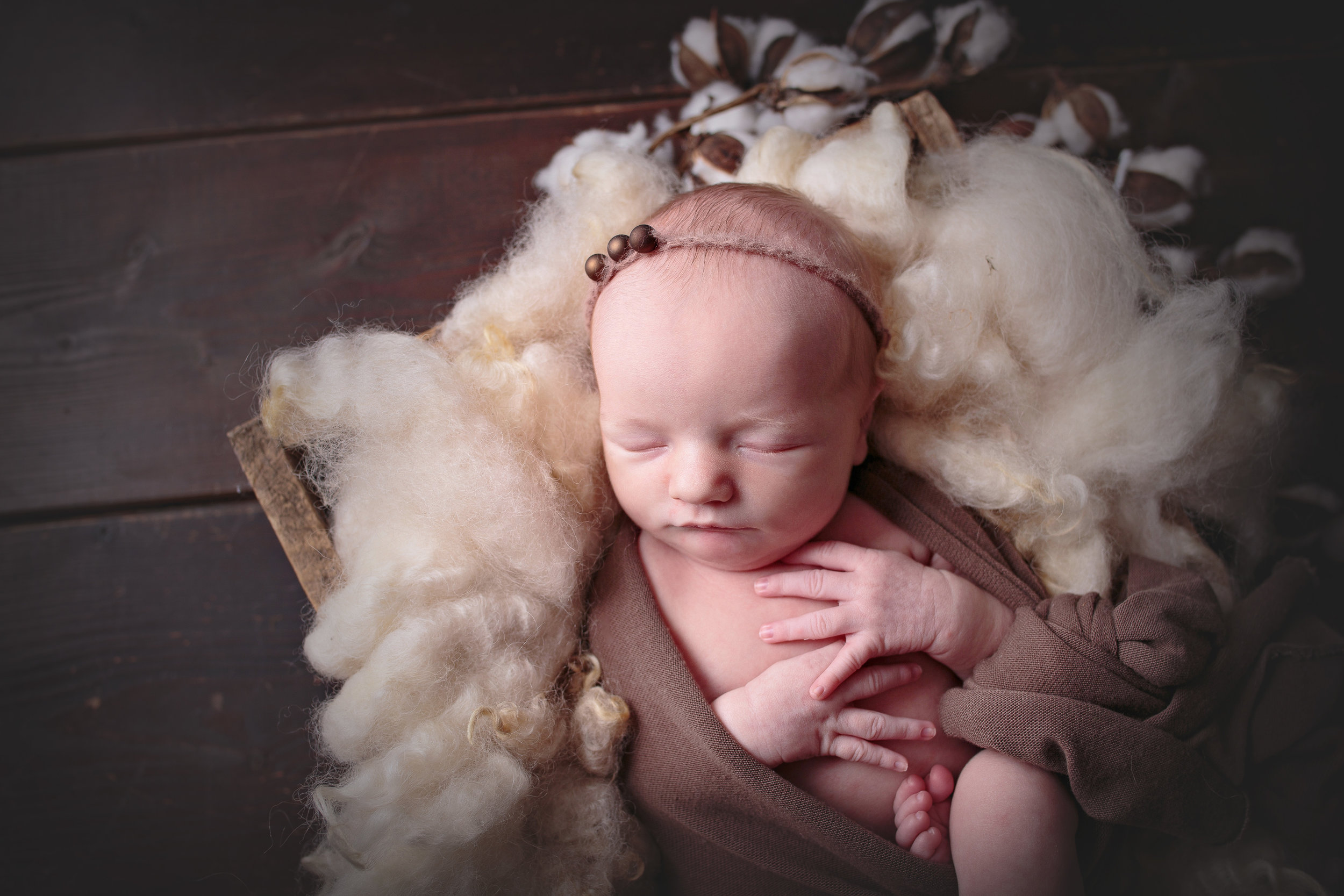 seattle newborn photographer (6).jpg