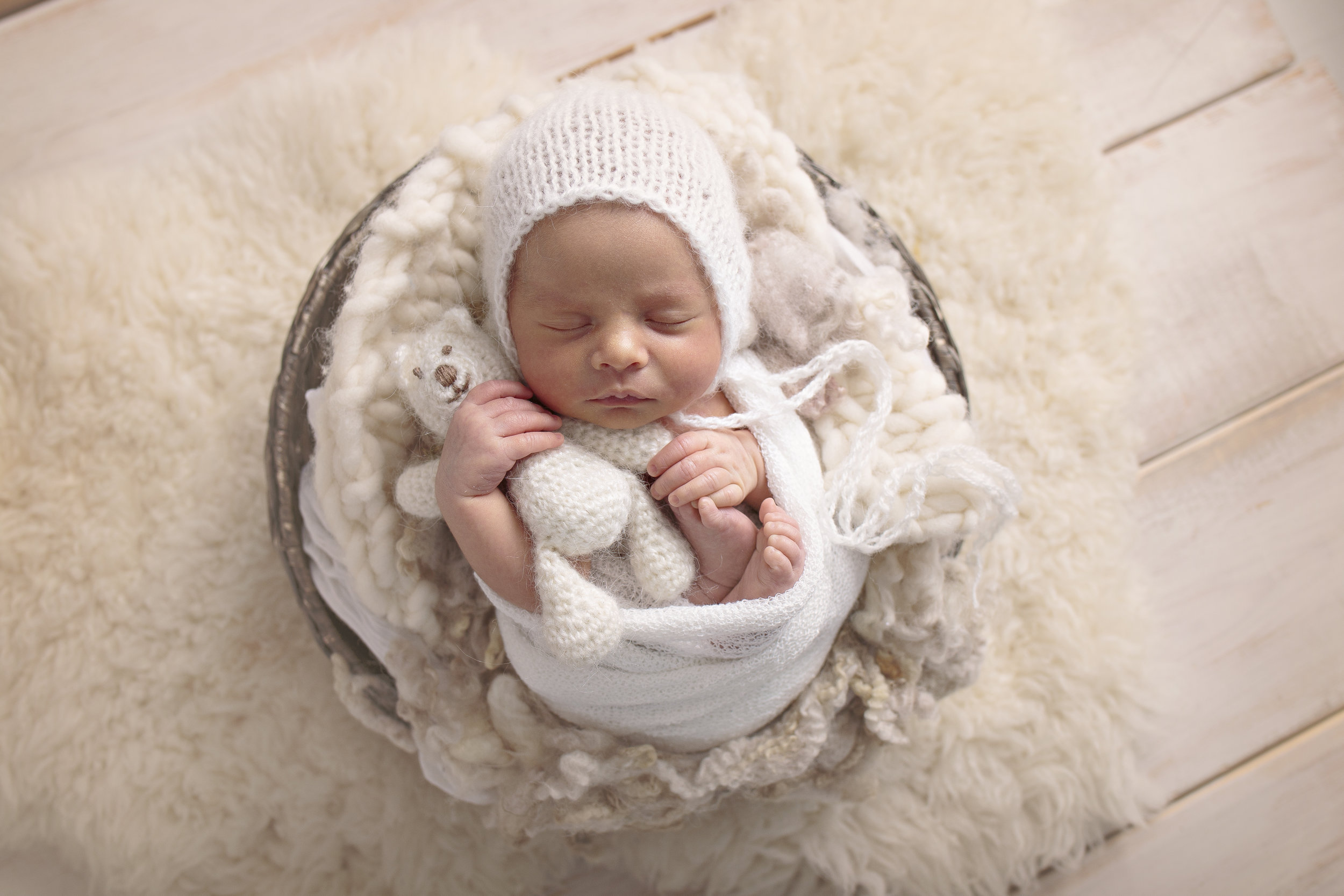 seattle newborn photographer.jpg