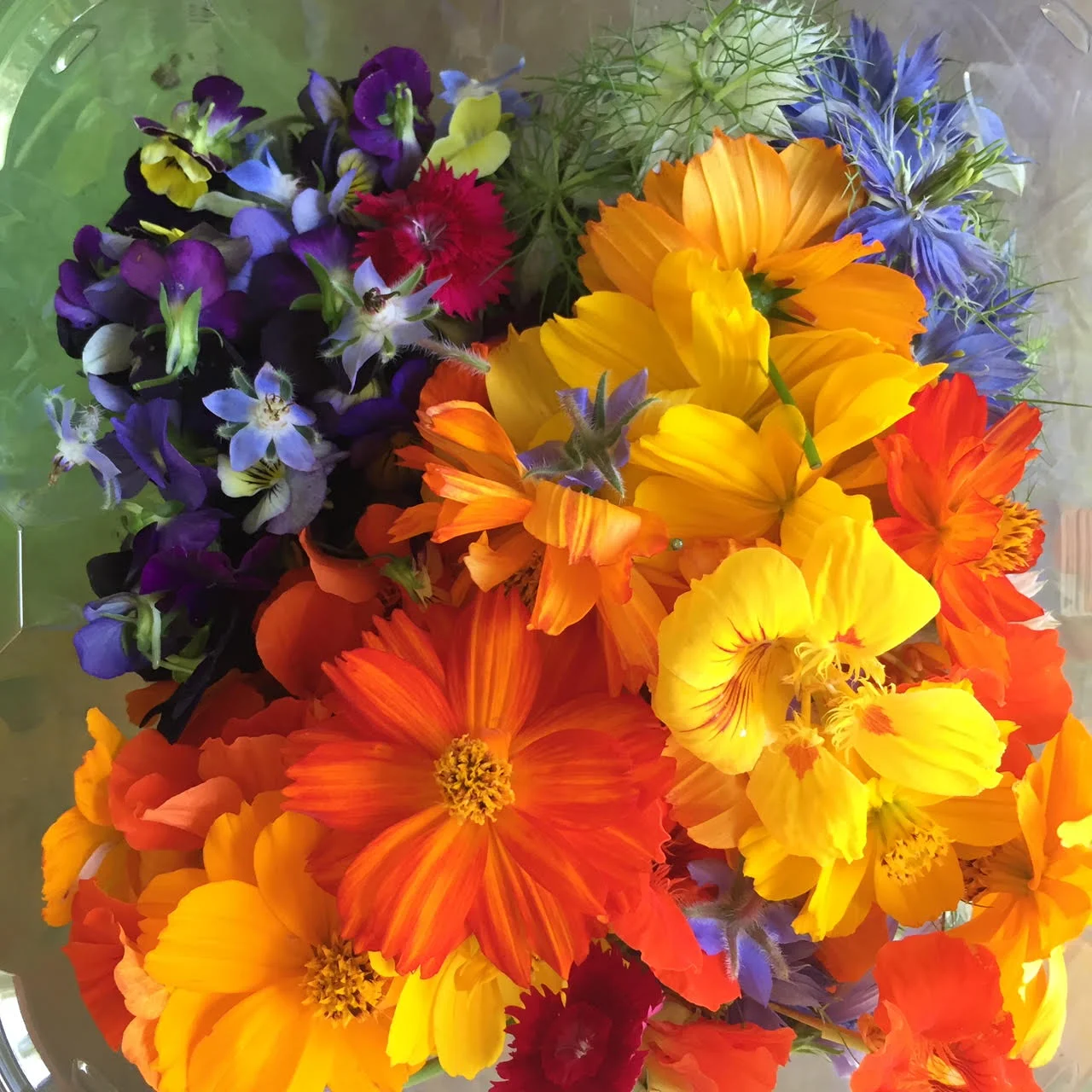 Edible Flowers mix.jpg