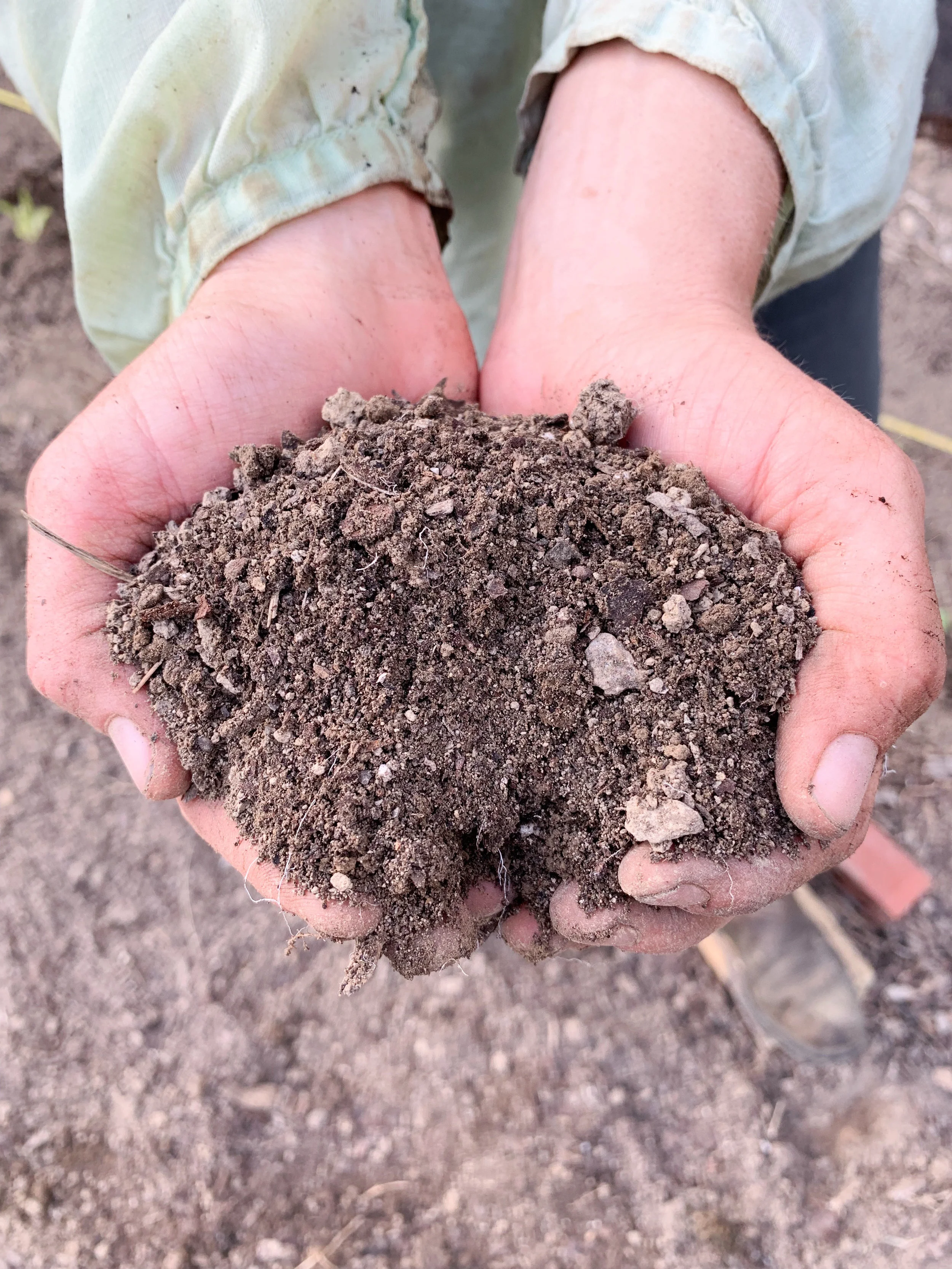 Dirt.jpg