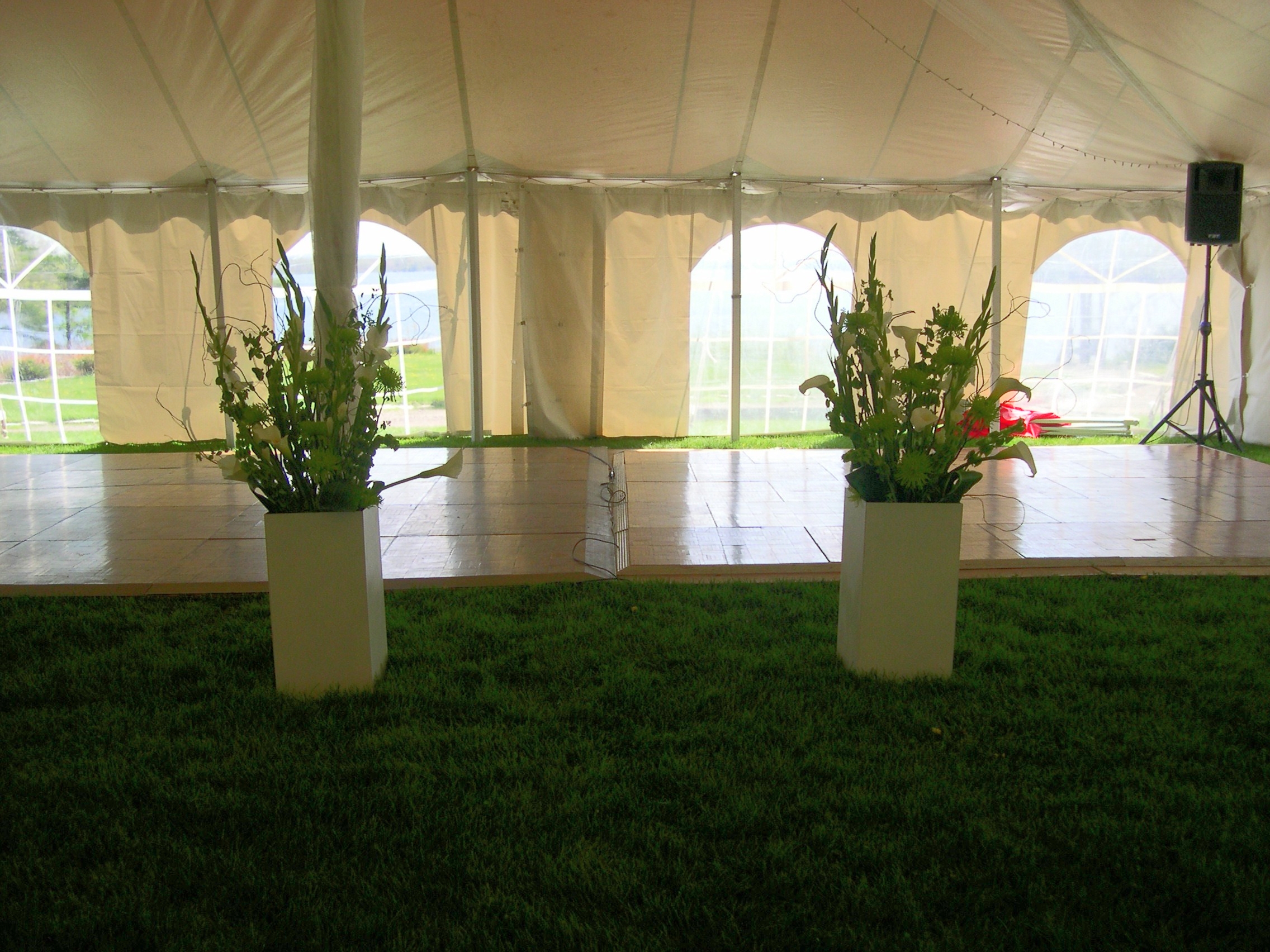 DSCN2937.jpg