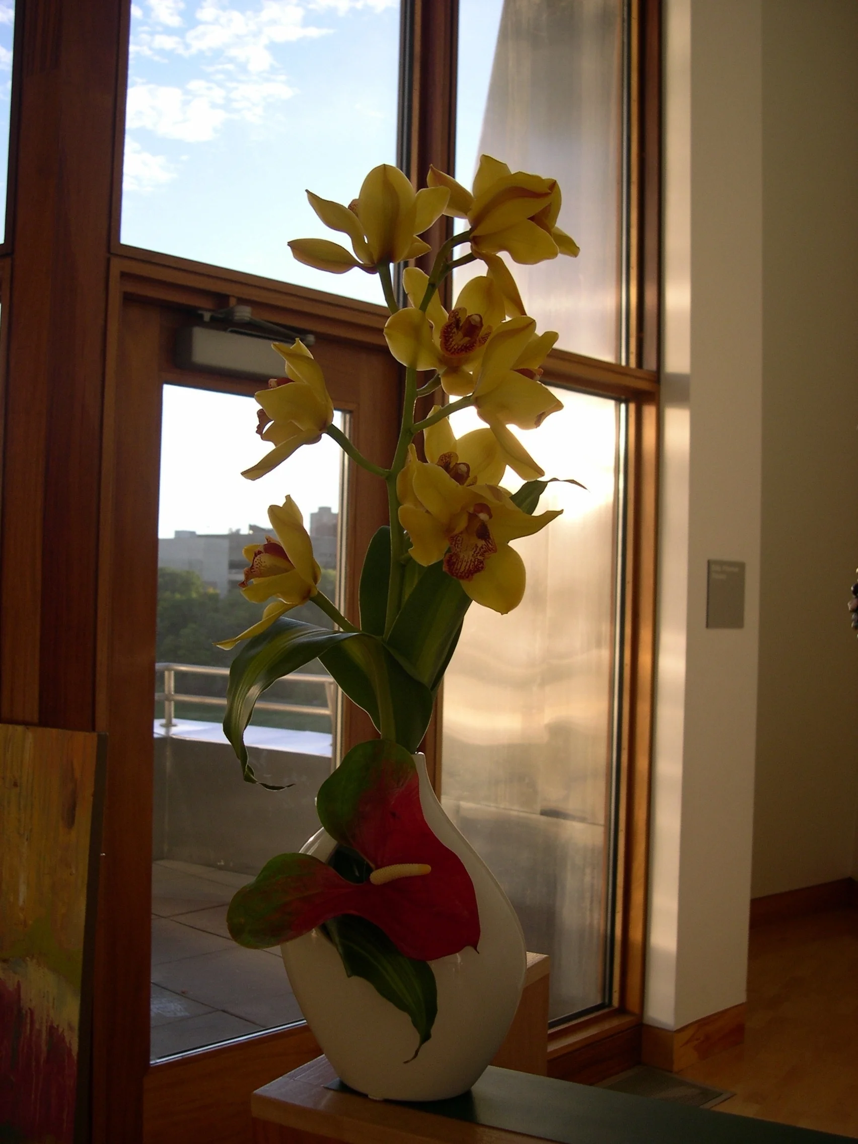 DSCN2729.jpg